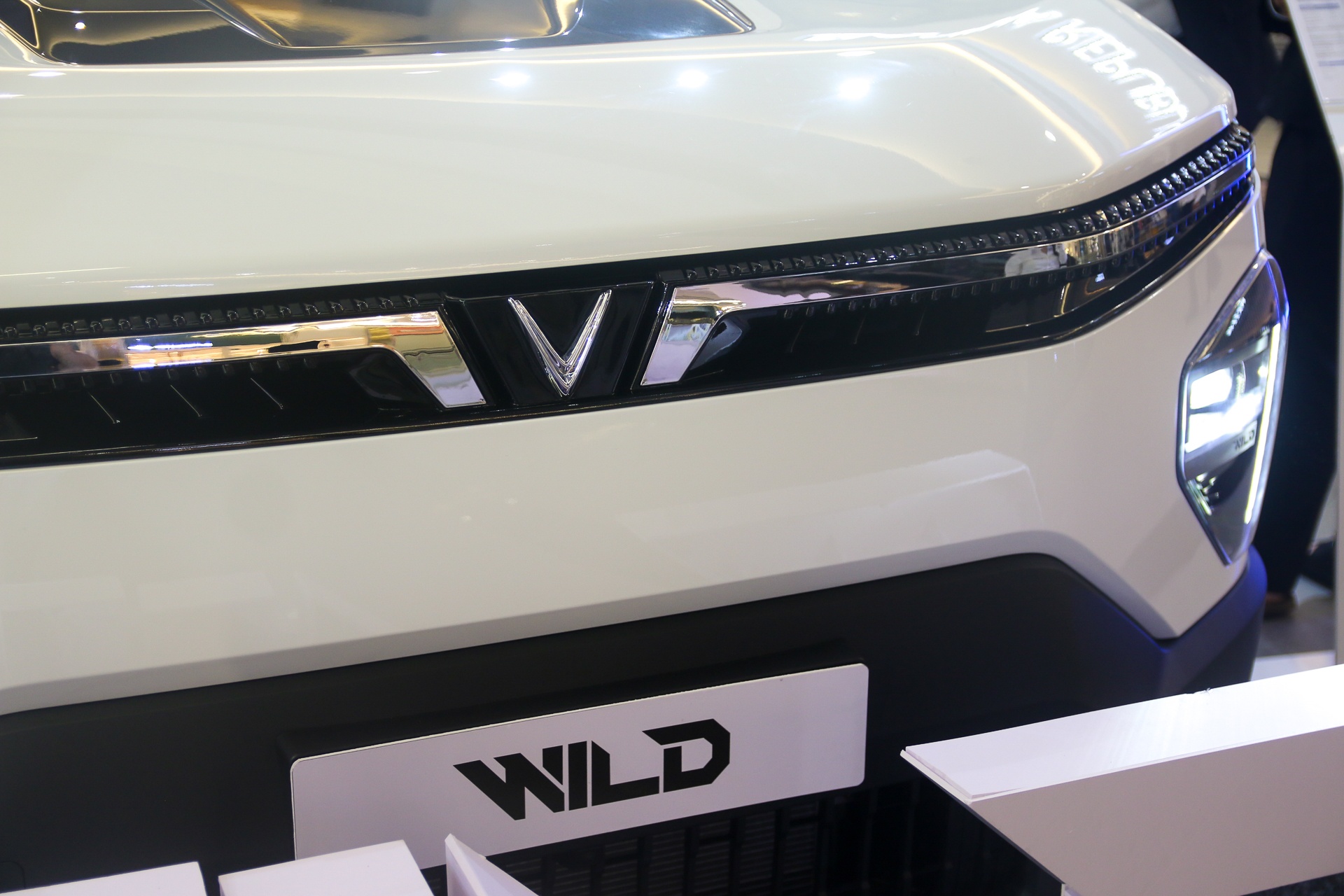 VF Wild ảnh 13 VF Wild ảnh 13