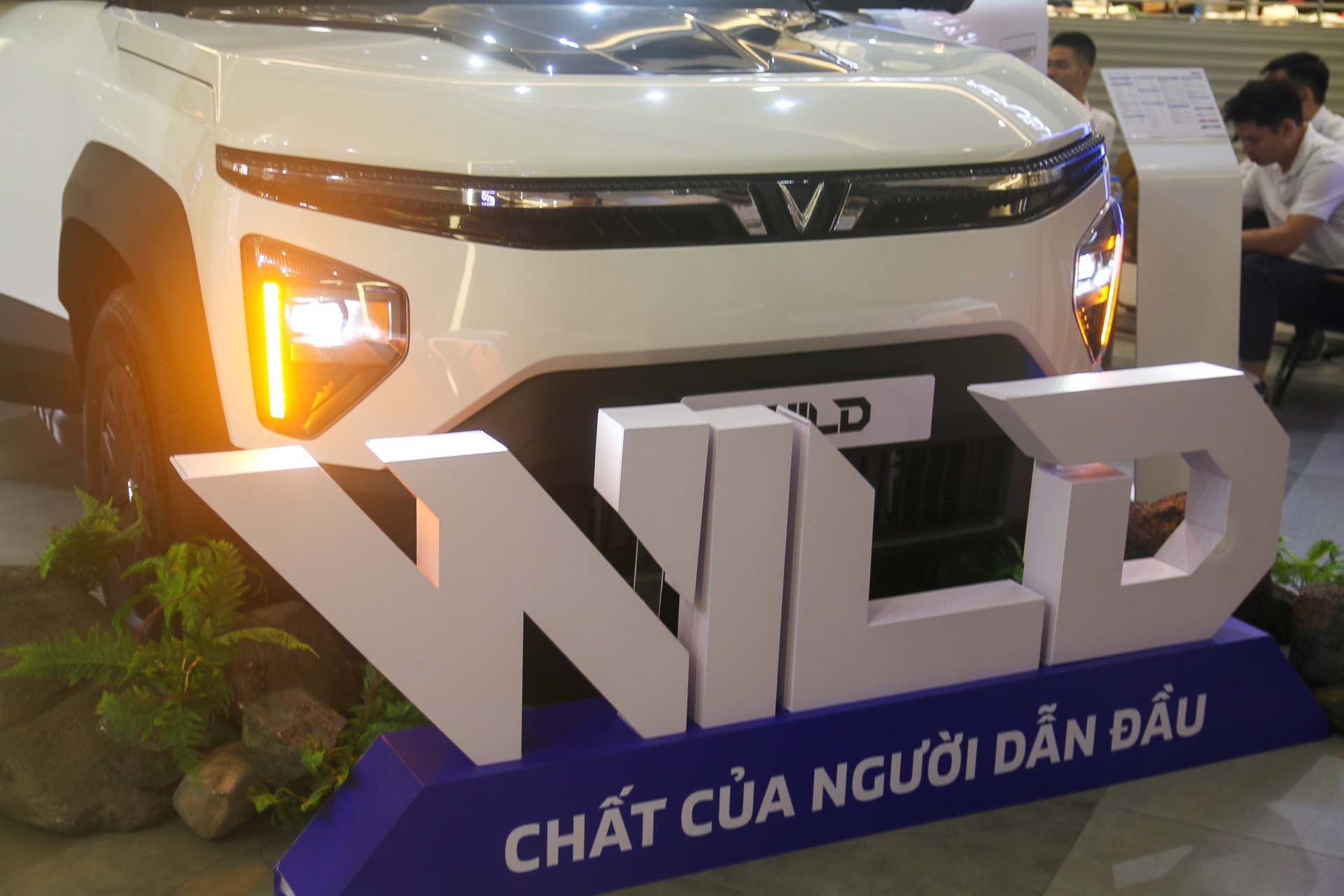 VF Wild ảnh 11 VF Wild ảnh 11