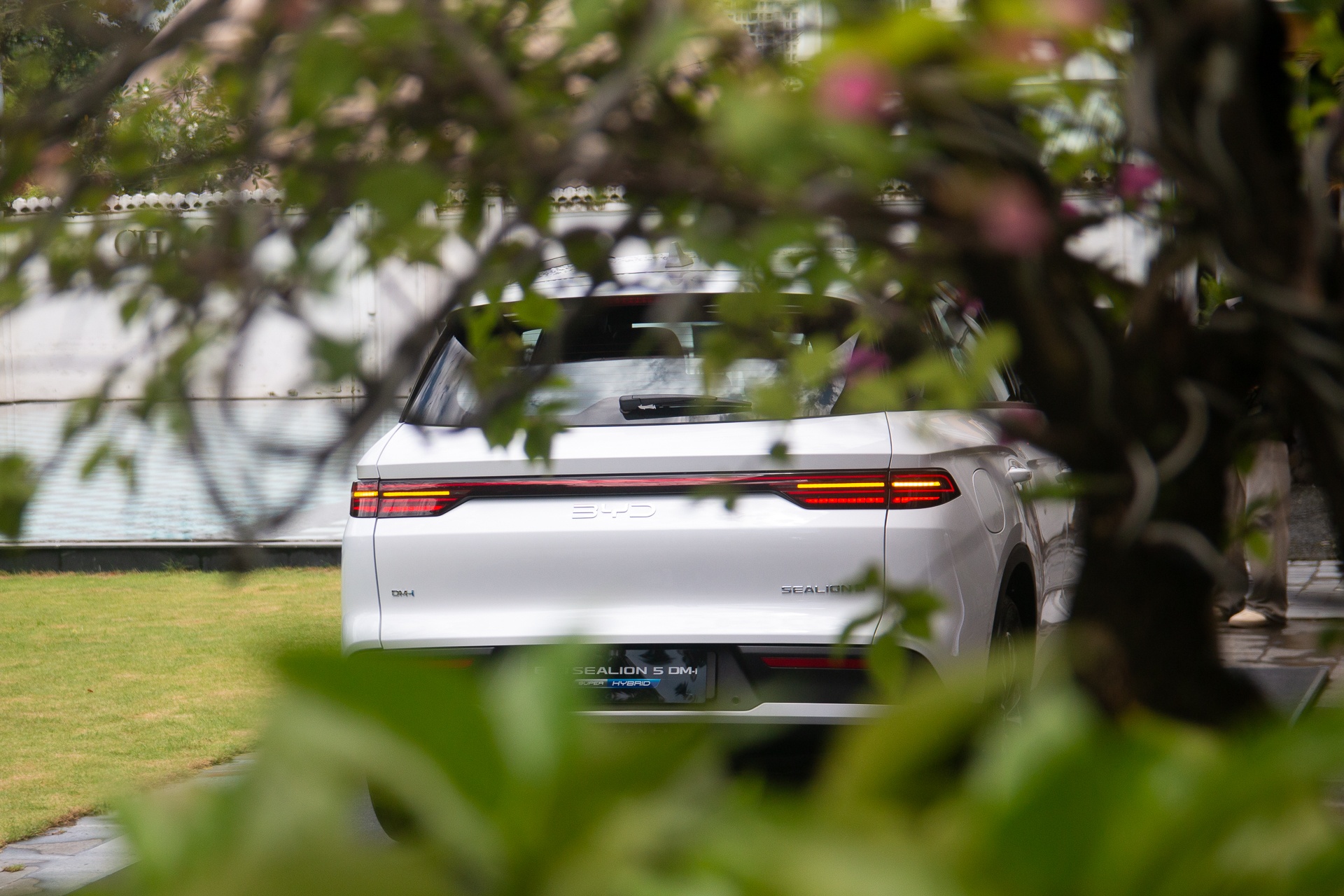 BYD Sealion 5 ảnh 24