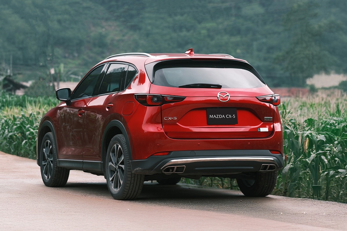 BYD Sealion 5 ảnh 8