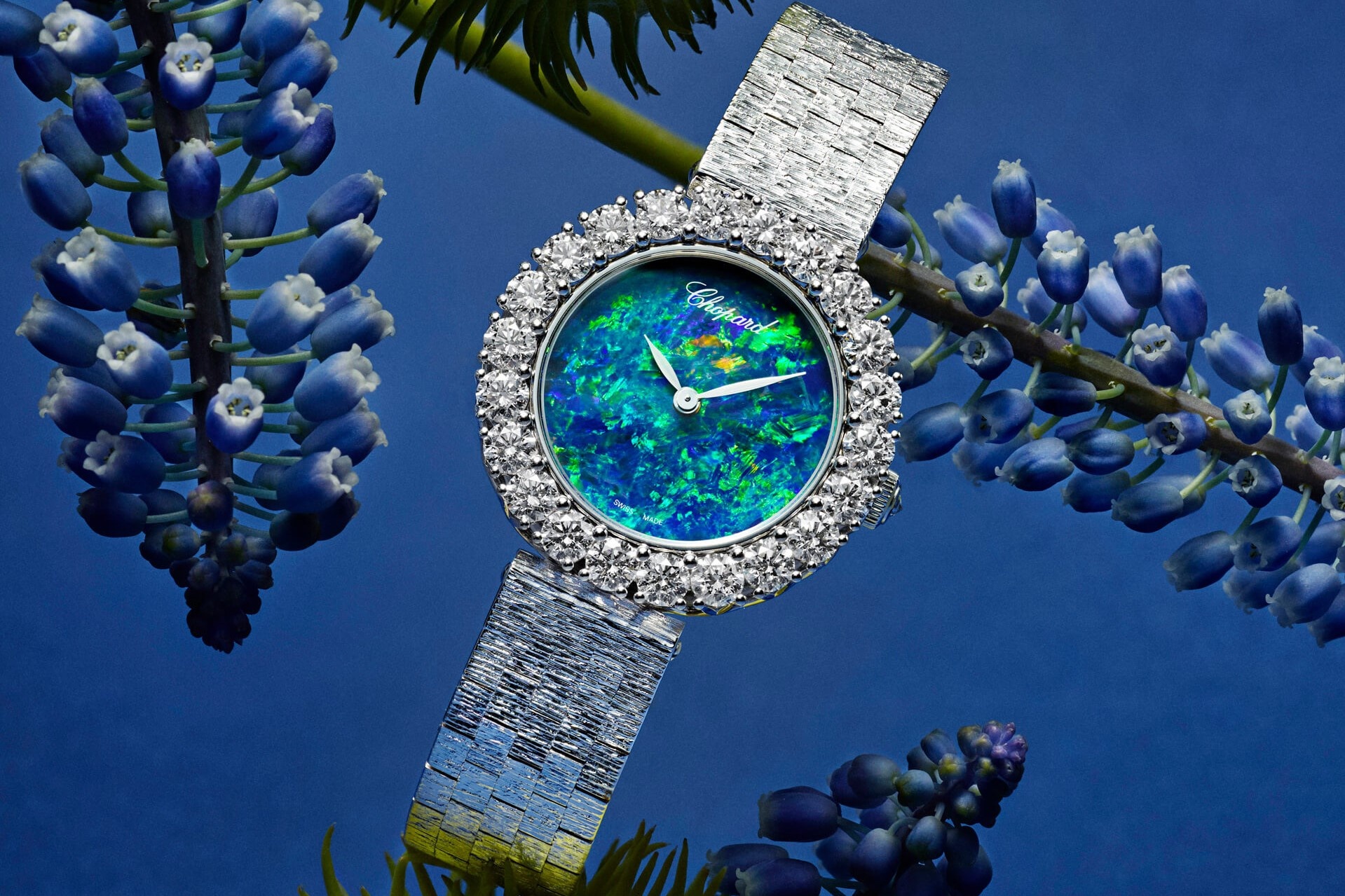 6 luu y khi mua dong ho moi hinh anh