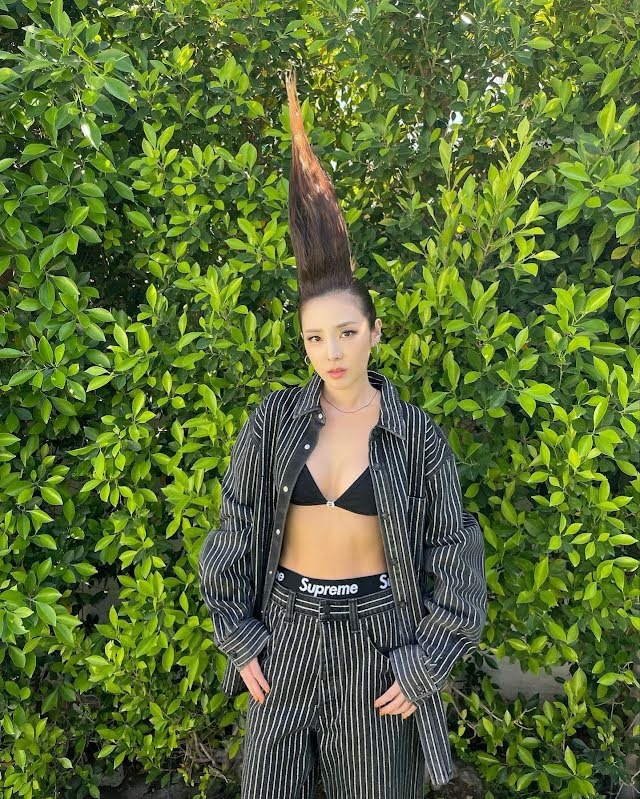 Dara nặng 37 kg ảnh 1 Dara nang 37 kg anh 1