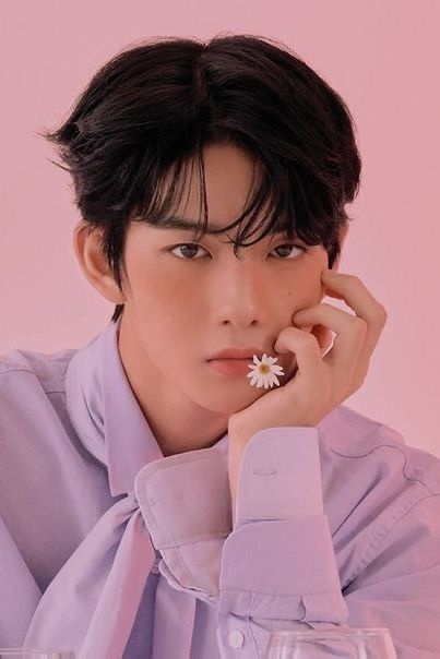 meo duong da cua sao Han anh 8