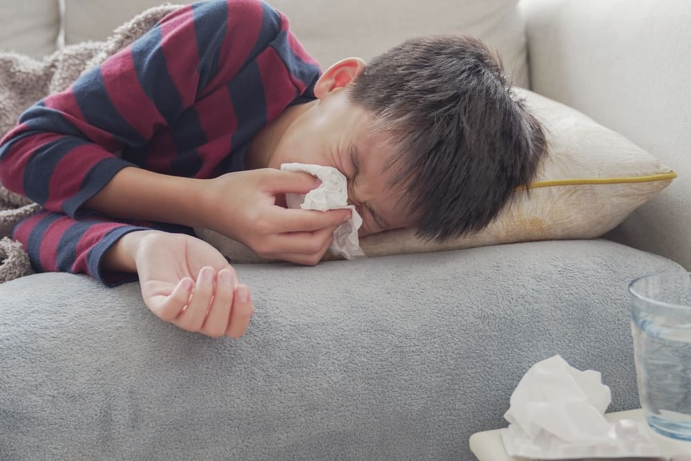 tri so mui tai nha anh 1