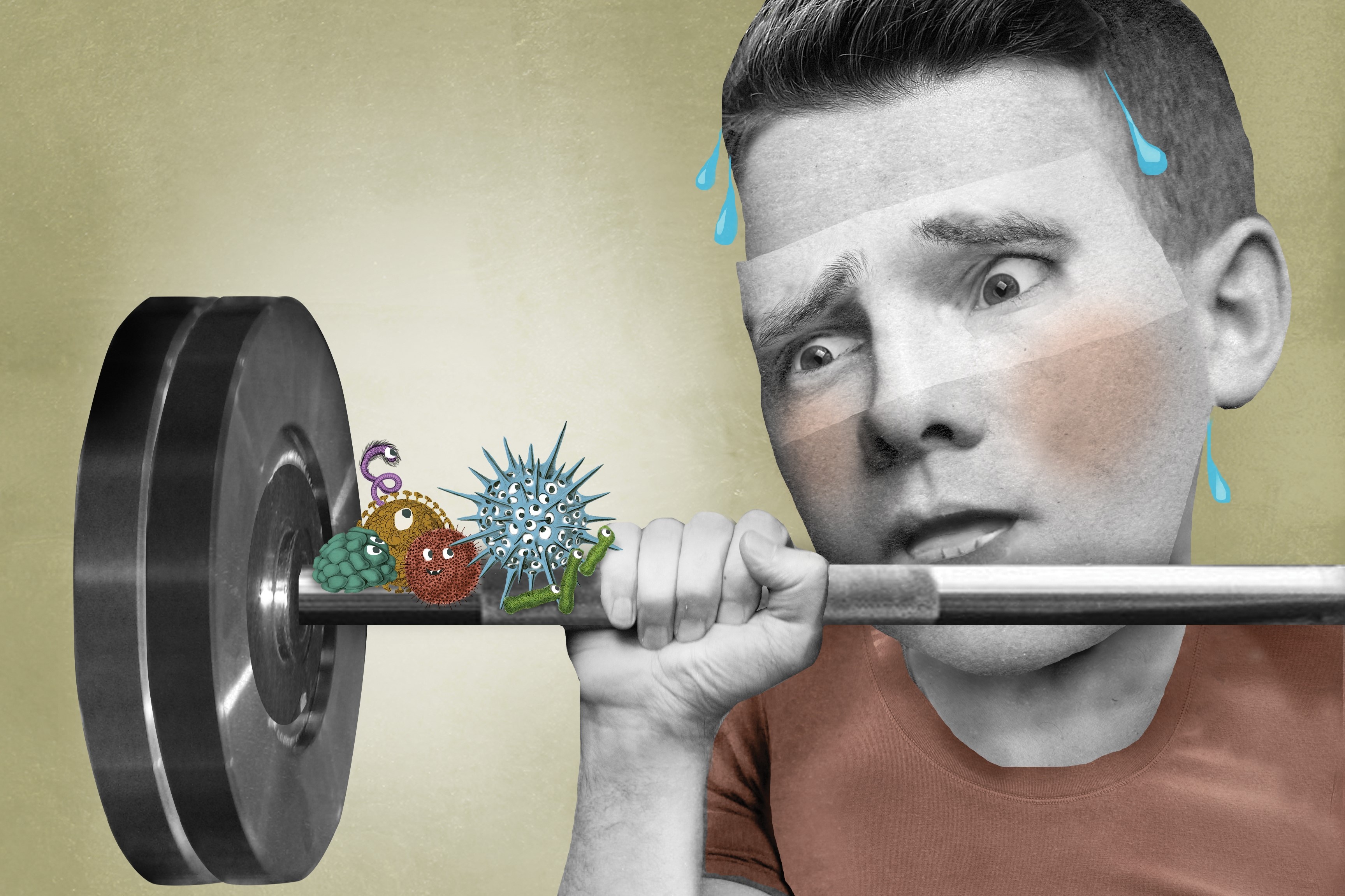 Co bao nhieu vi khuan o phong tap the duc? hinh anh