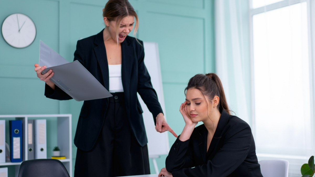 moi truong doc hai anh 2