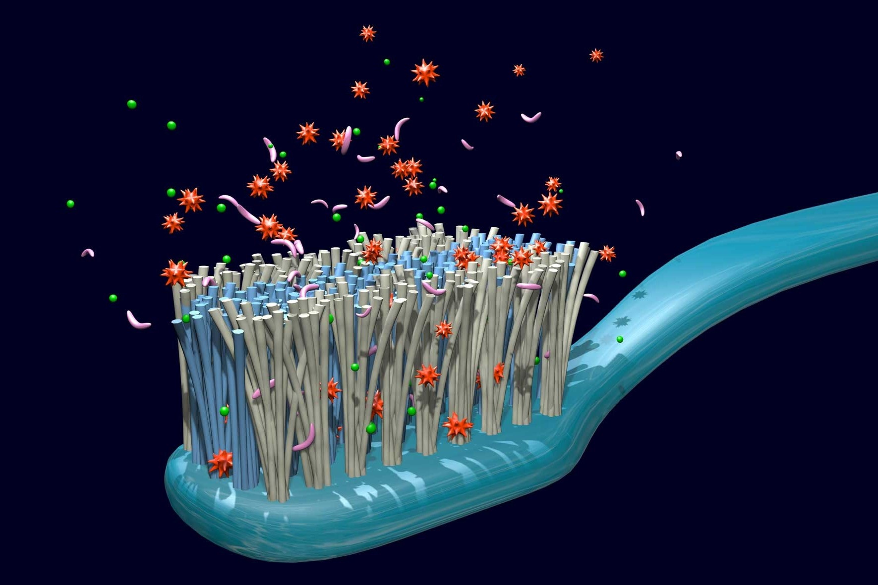 Co nen thay ban chai danh rang sau khi bi om? hinh anh