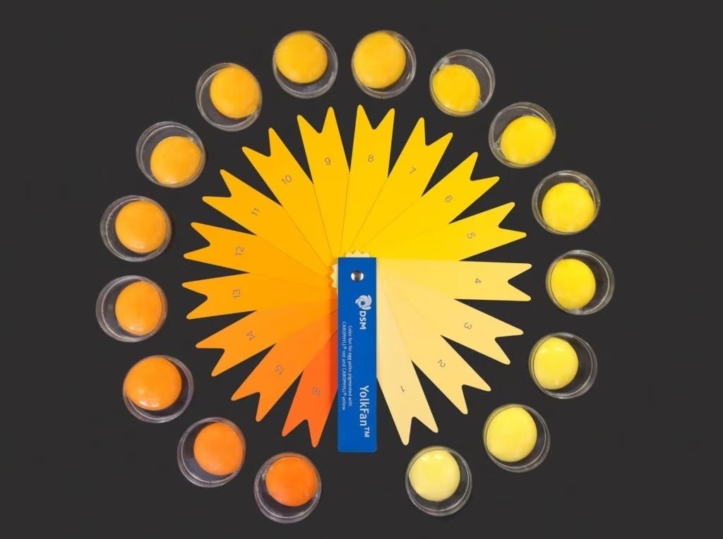 loi ich long do trung anh 1