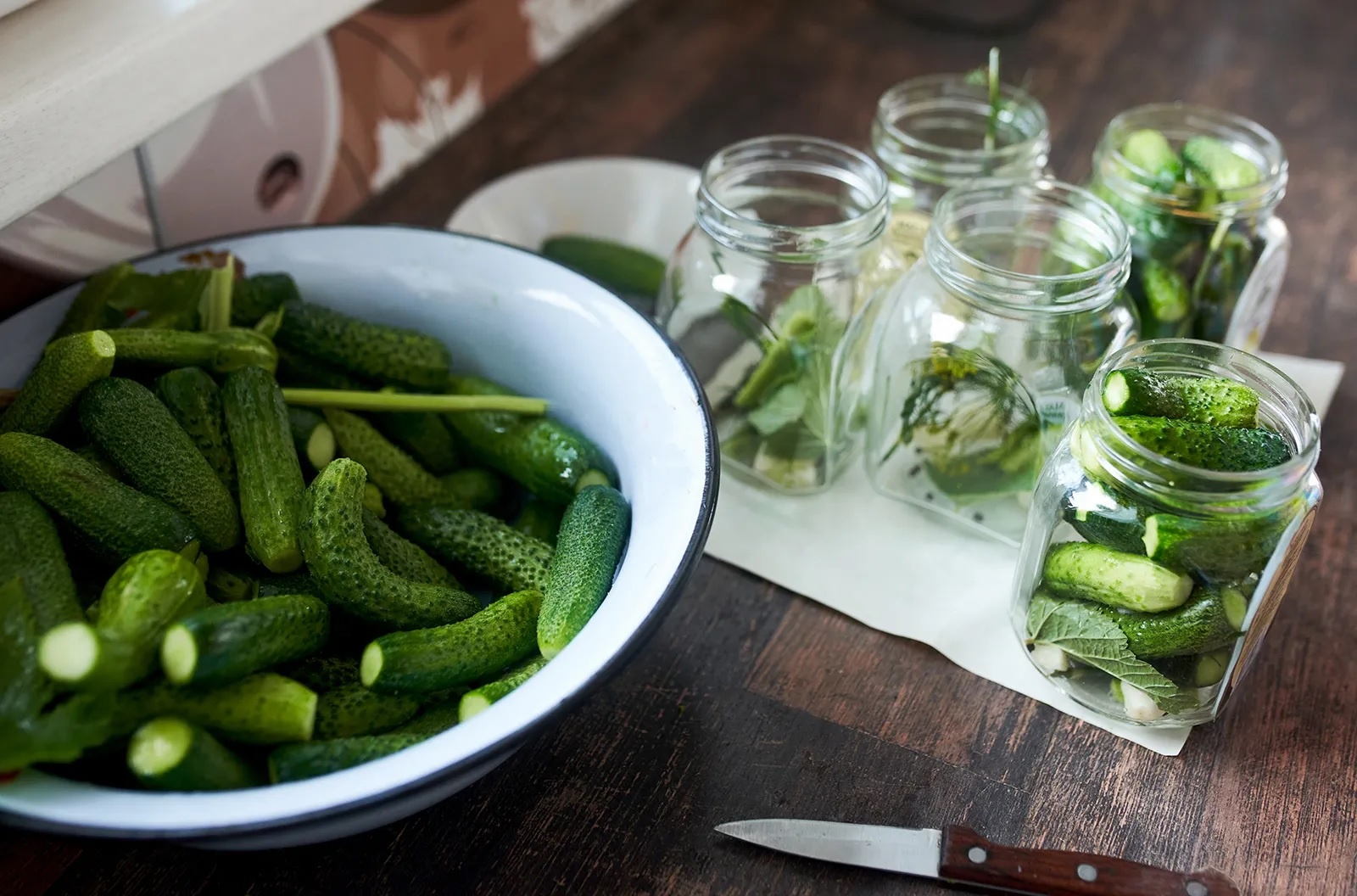 dua chuot co tot khong anh 2