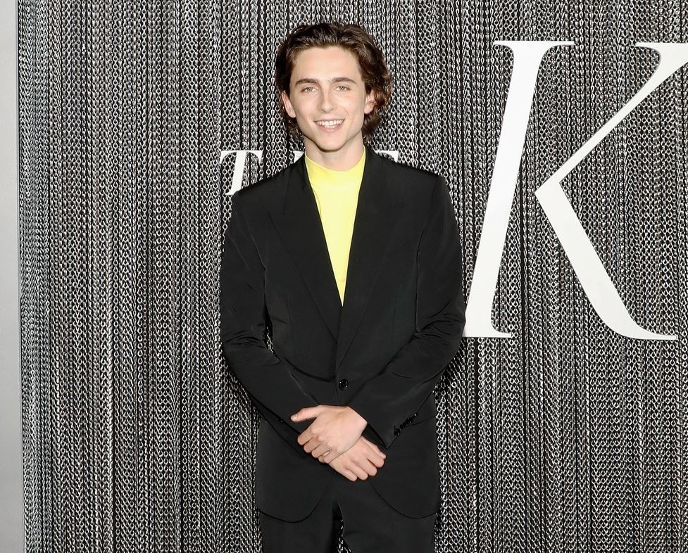 Timothée Chalamet bị chê mặc đồ xấu ảnh 9 Timothee Chalamet bi che mac do xau anh 9
