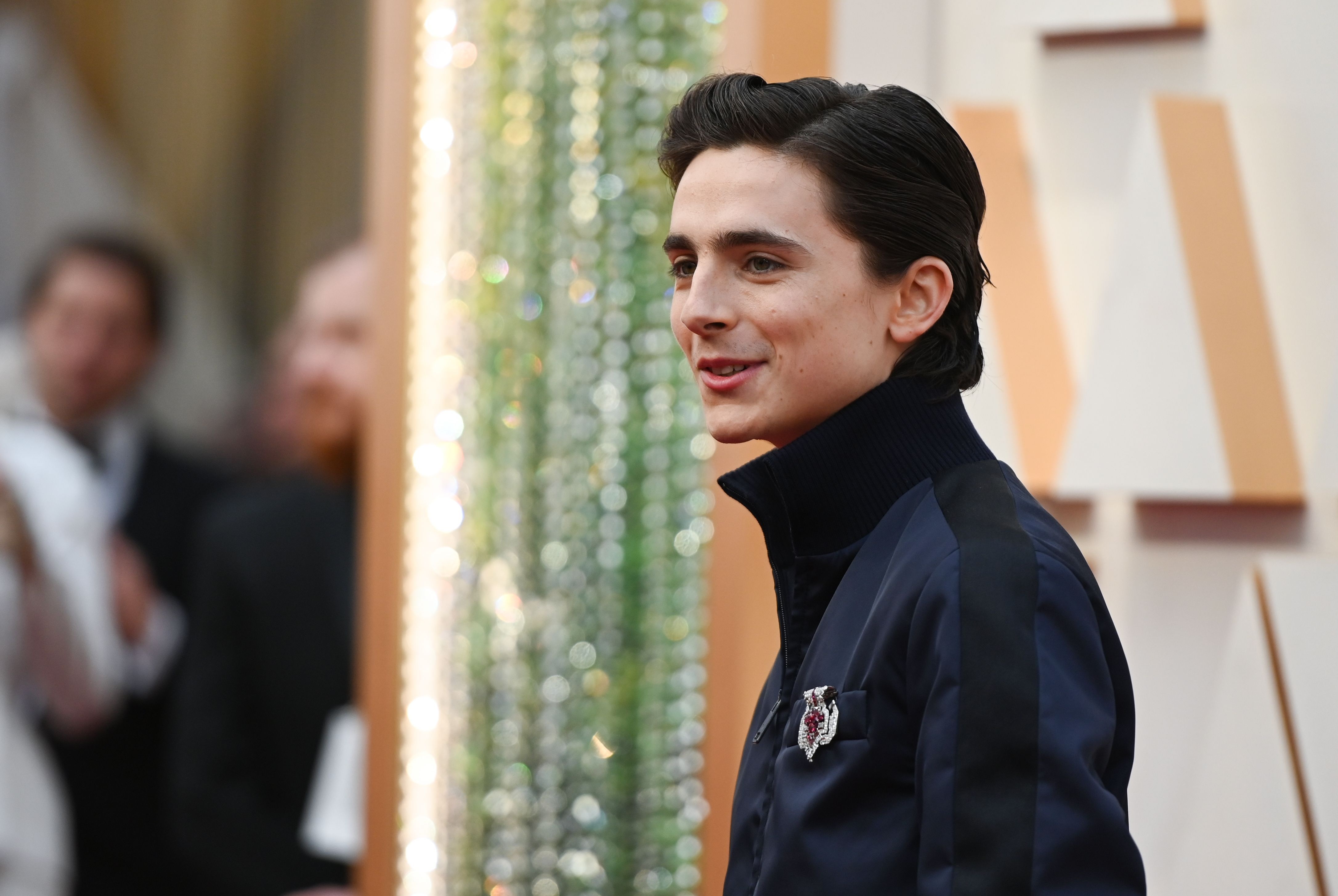 Timothée Chalamet bị chê mặc đồ xấu ảnh 15 Timothee Chalamet bi che mac do xau anh 15