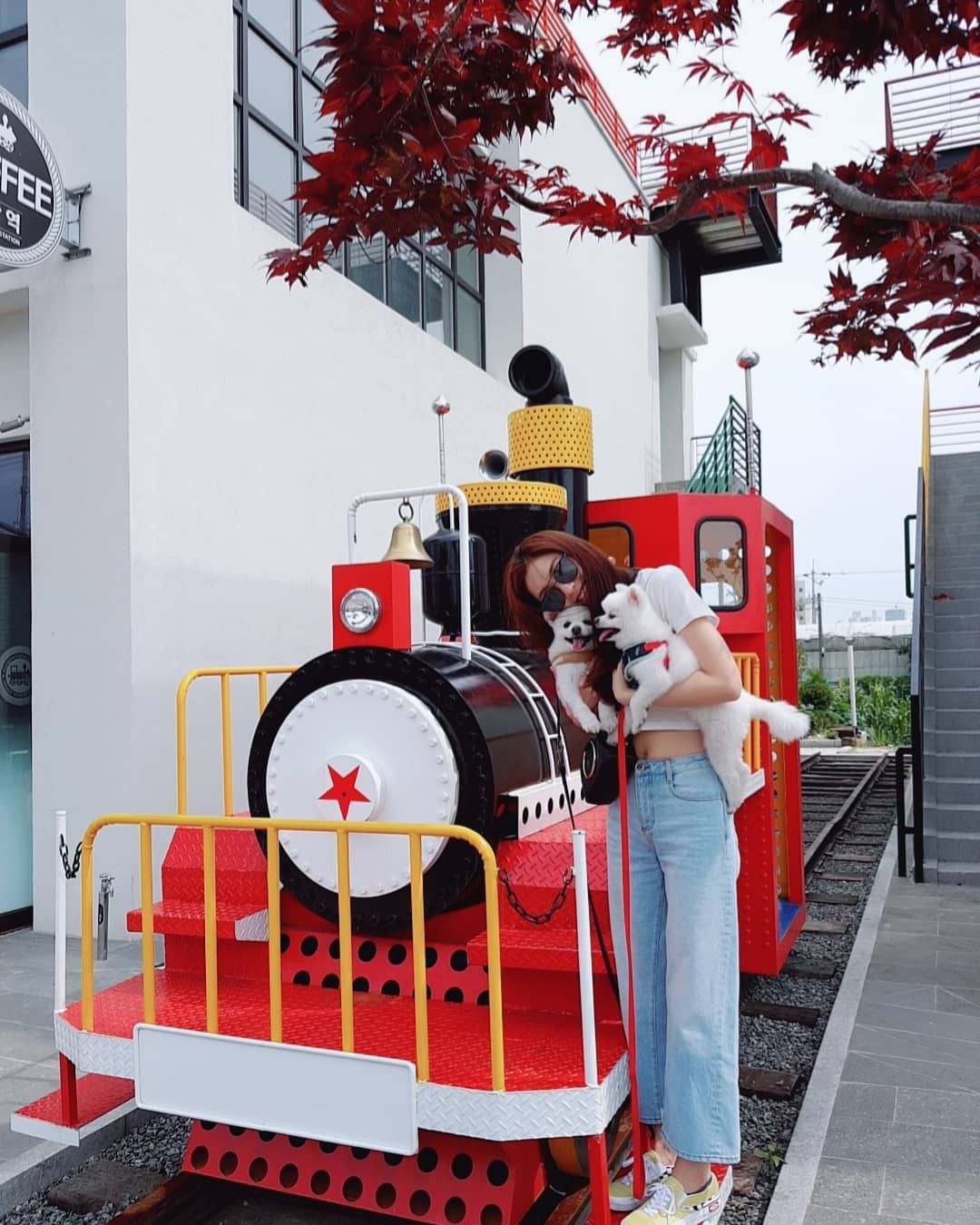 seo dan ha canh noi anh anh 11