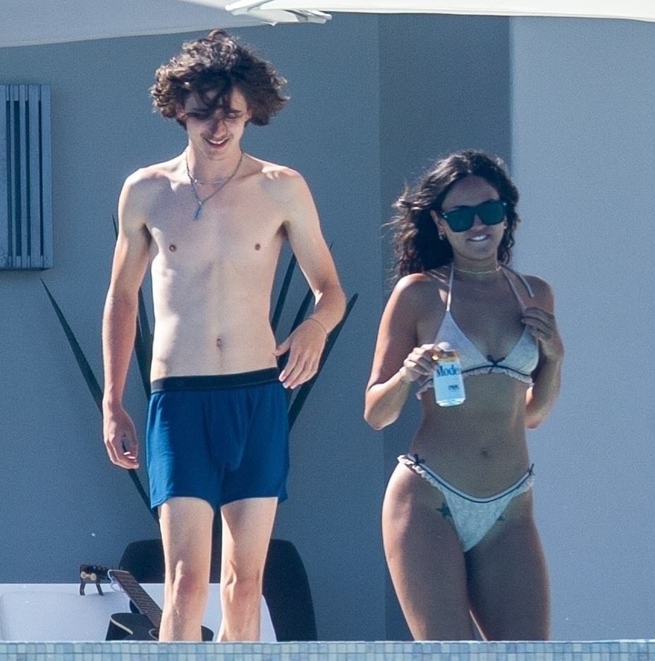 timothee chalamet hen ho anh 1