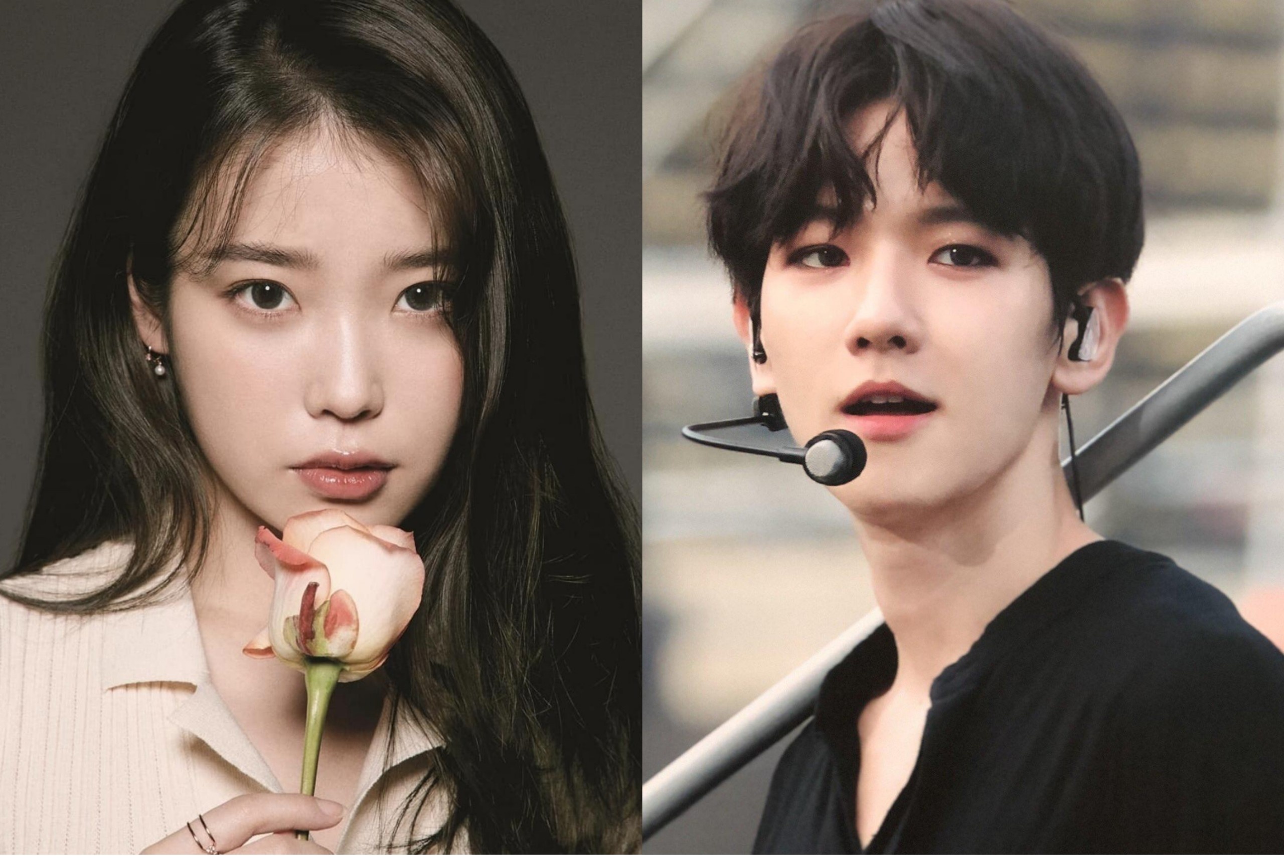 IU va dan sao co lan da dep nhat Han Quoc hinh anh