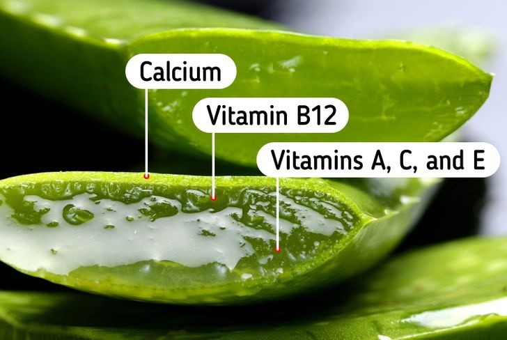 san pham thay the dau goi anh 4