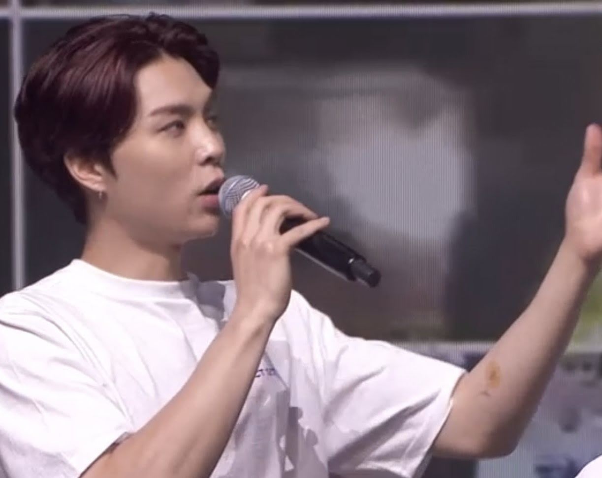 hinh xam cua sao Han anh 13