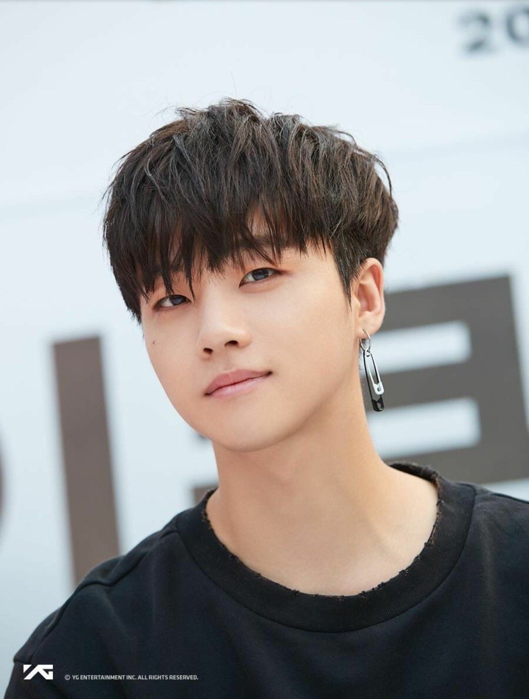 hinh xam cua sao Han anh 5