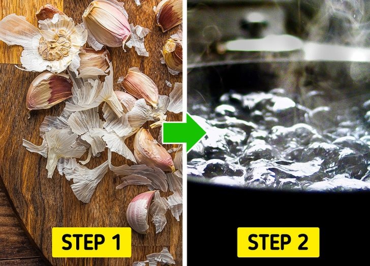 tri mui hoi co the anh 7