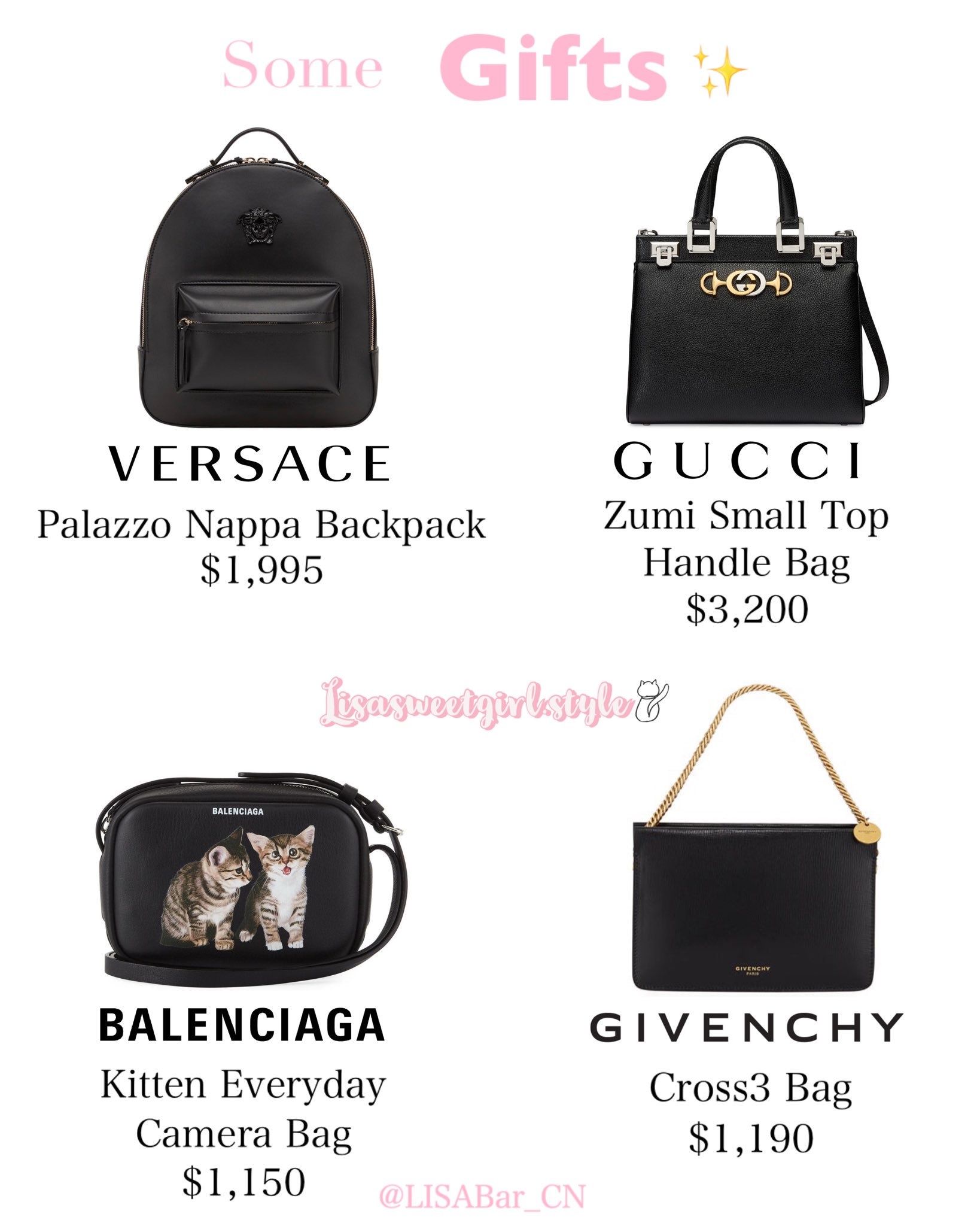 tui xach cua Lisa anh 6