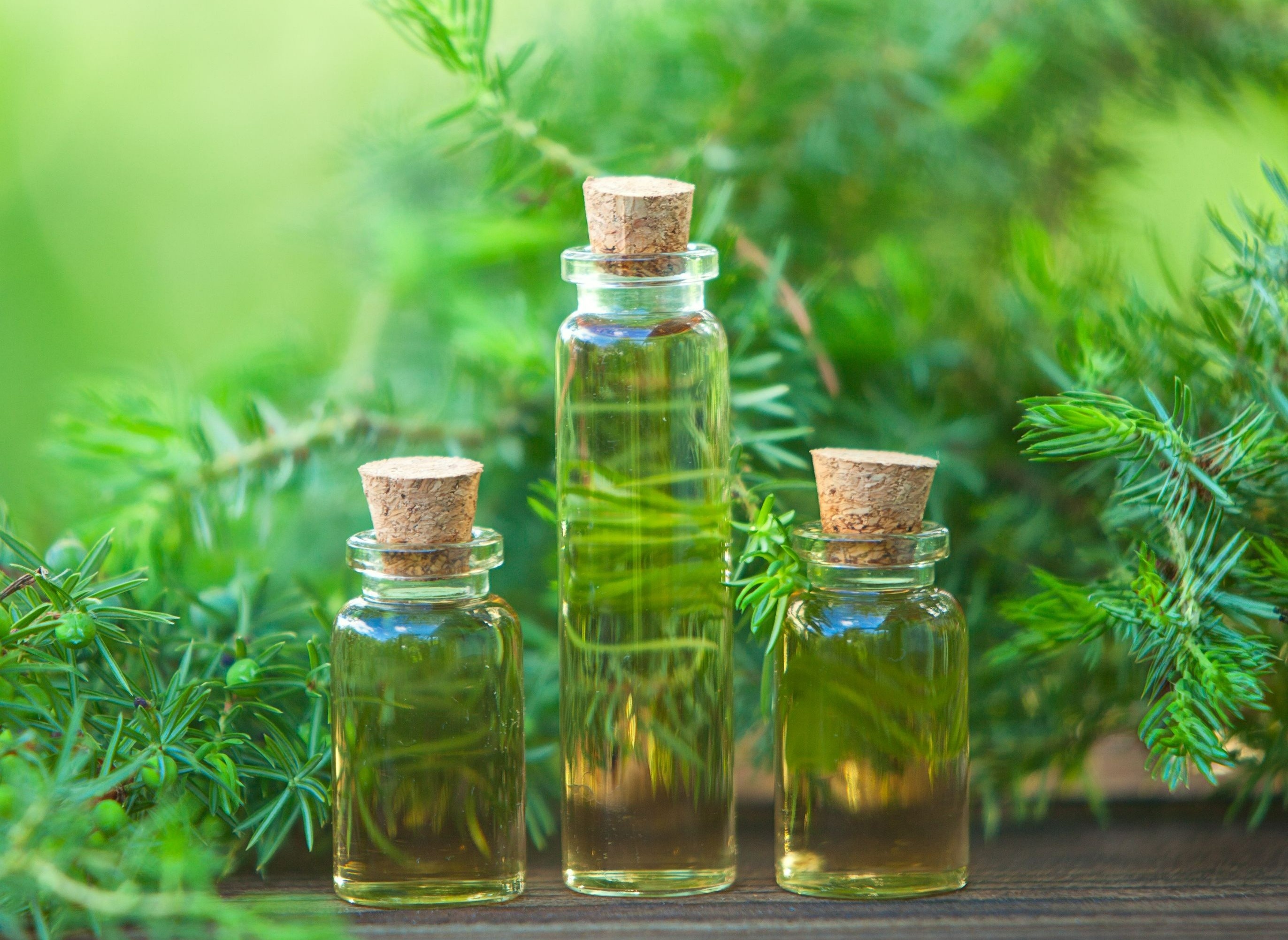 cach tri gau vao mua dong anh 2