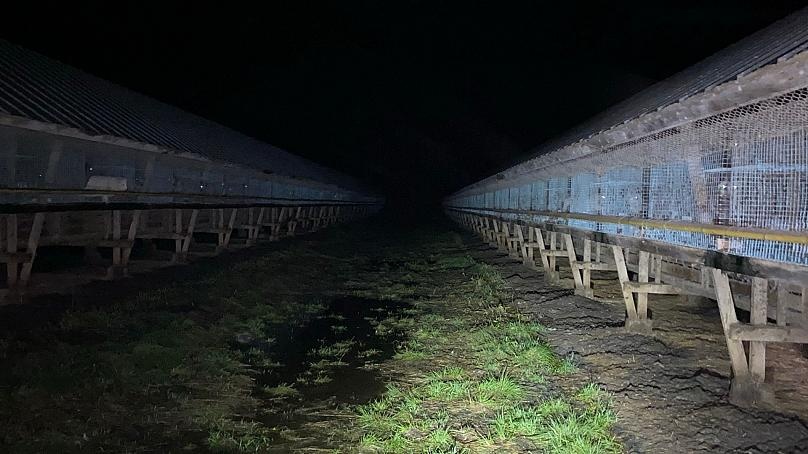 noi xau ho cua thoi trang xa xi anh 2