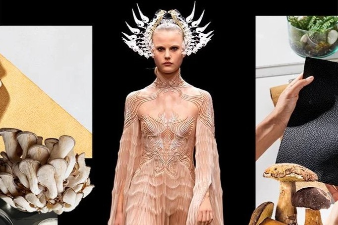 'Nang tho' moi cua cac nha thiet ke hinh anh