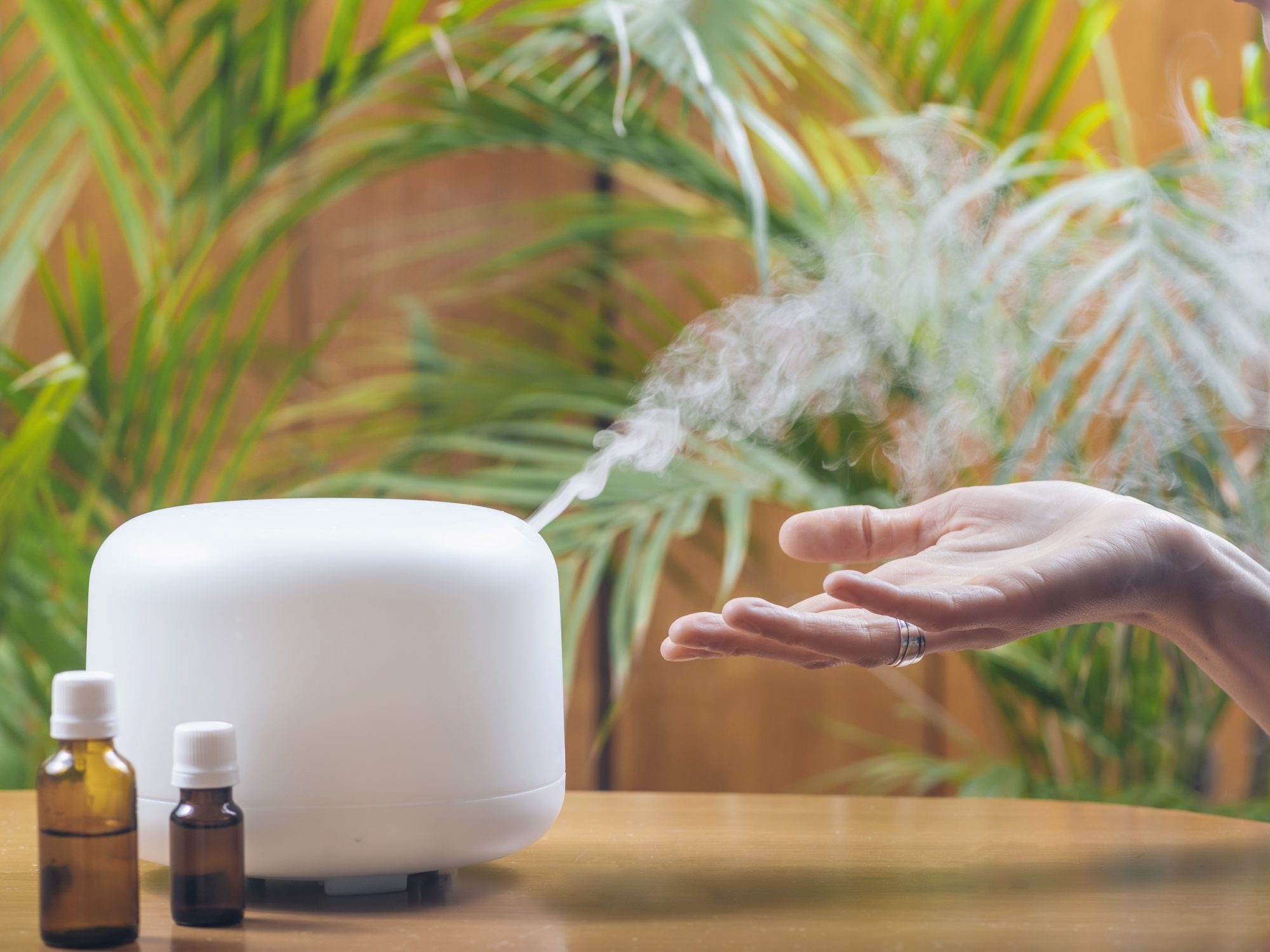 máy tạo độ ẩm có tốt cho da không ảnh 1 may tao do am co tot cho da khong anh 1