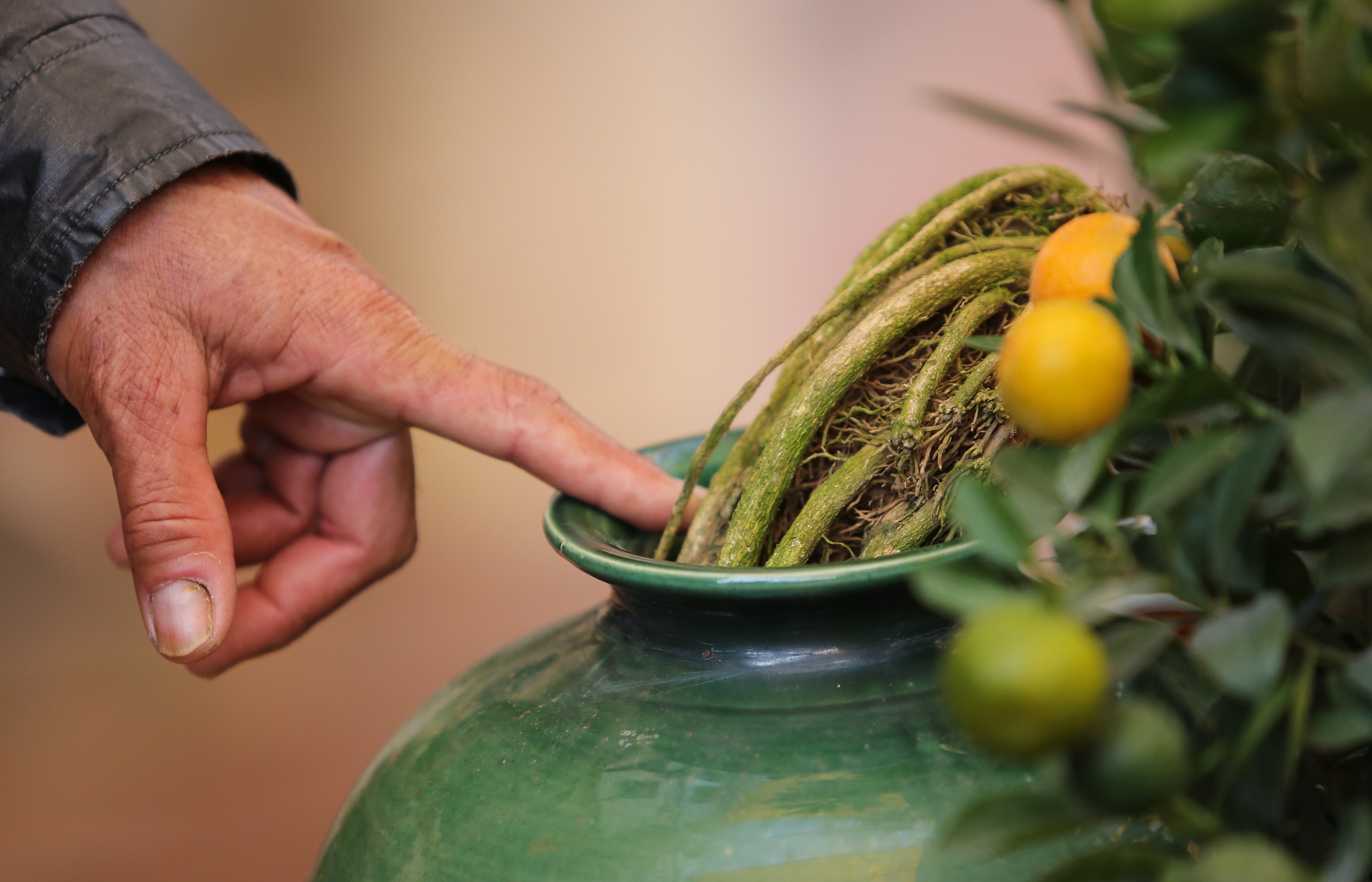 Quat,  buoi chu tai loc tien trieu mot cap tai lang quat Tu Lien anh 2