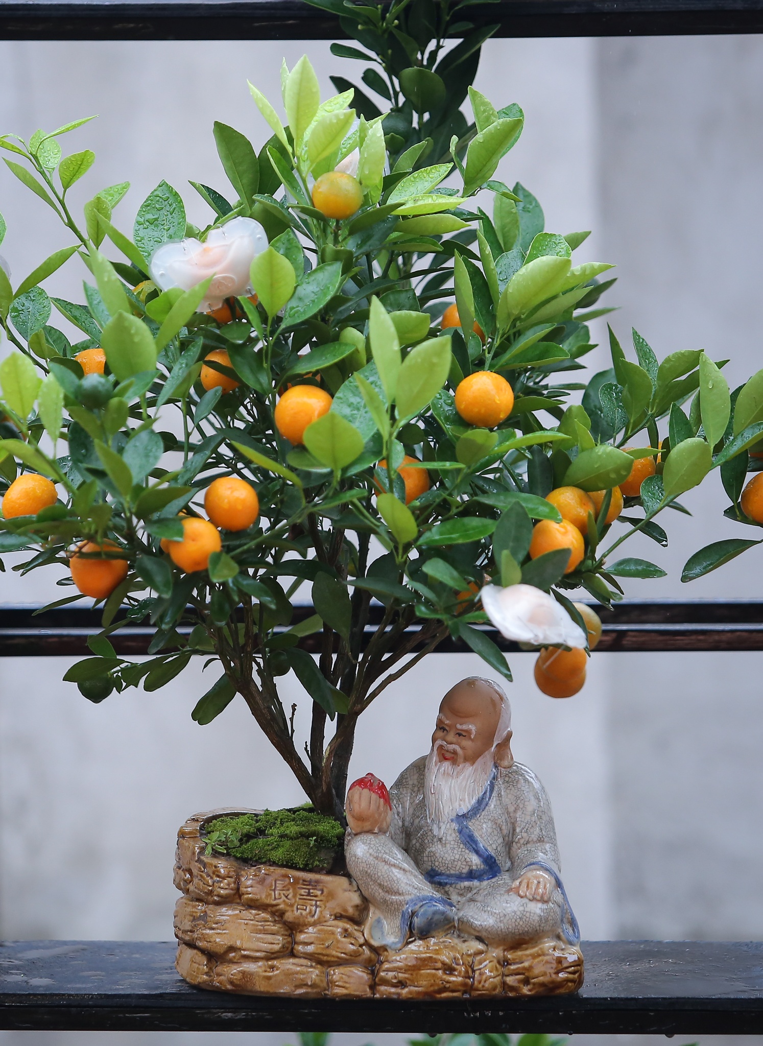 Quat,  buoi chu tai loc tien trieu mot cap tai lang quat Tu Lien anh 3