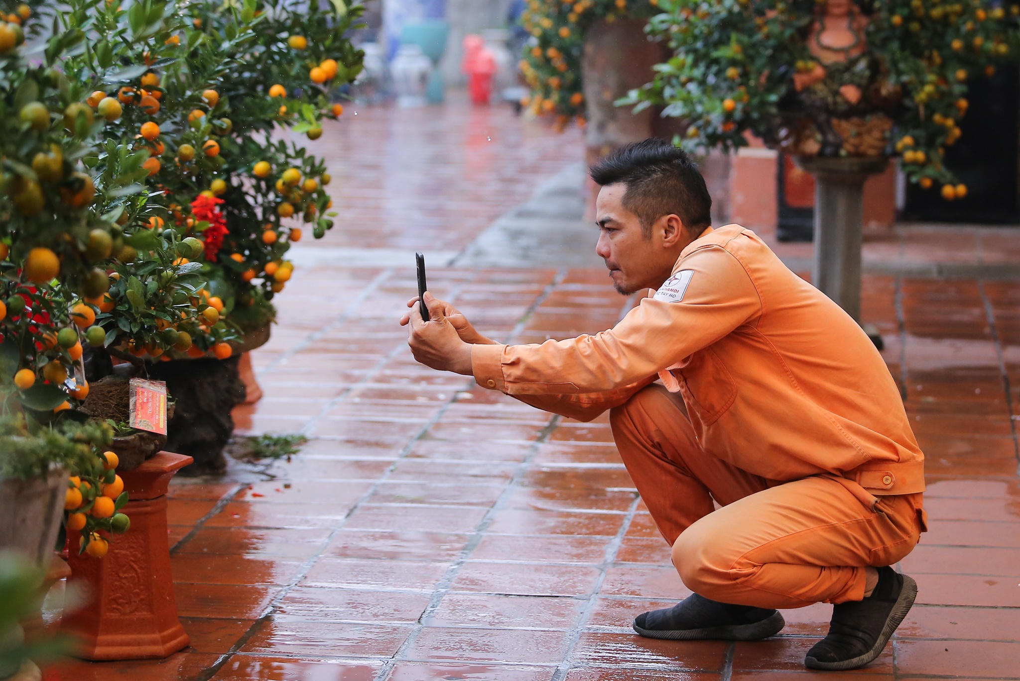 Quat,  buoi chu tai loc tien trieu mot cap tai lang quat Tu Lien anh 7