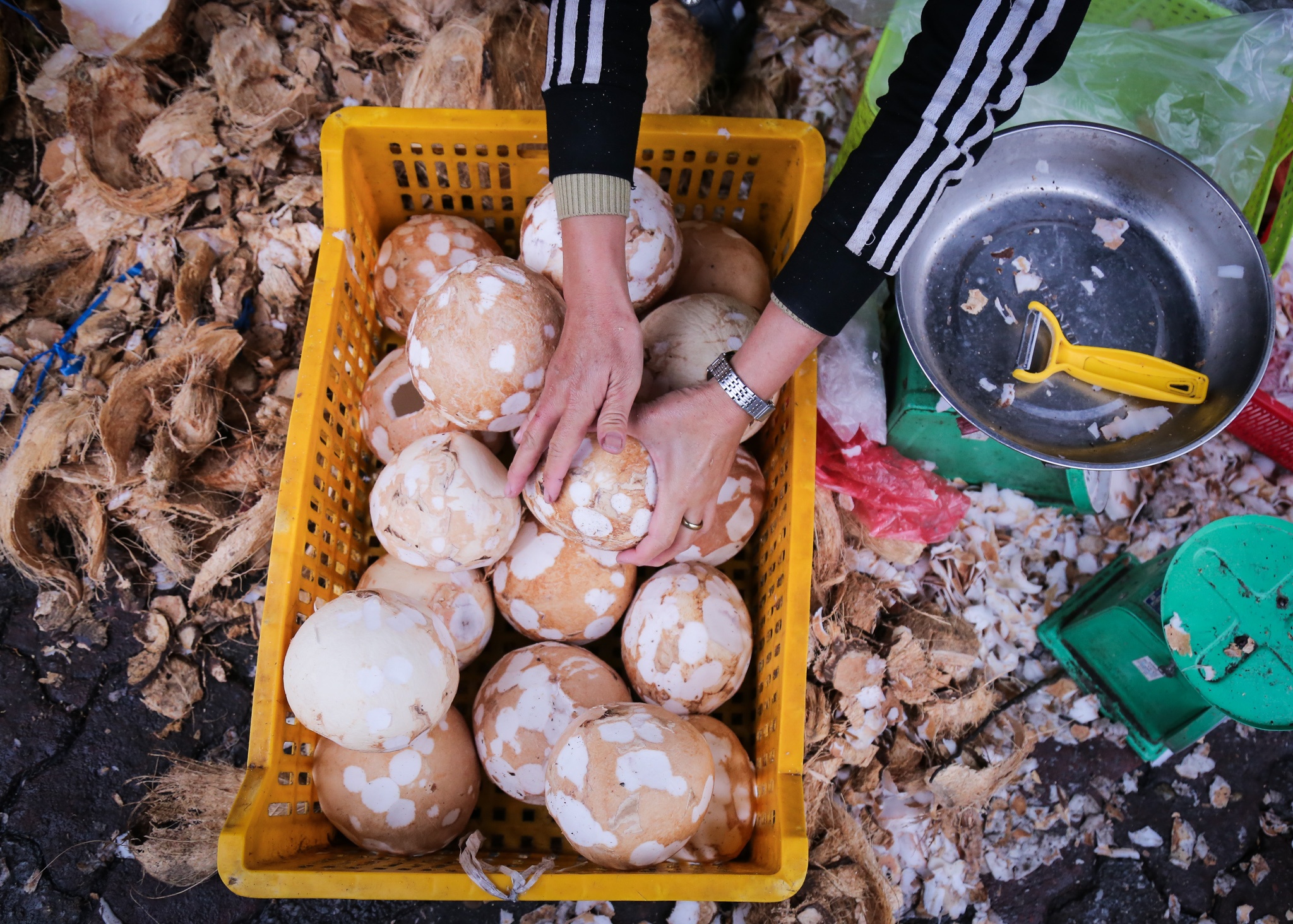 Thu ve 30-50 trieu moi ngay tu ban dua lam mut hinh anh