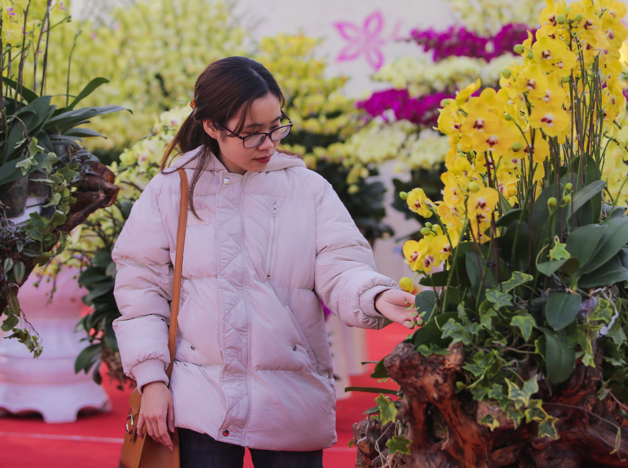 hoa lan go lua gia tram trieu anh 7