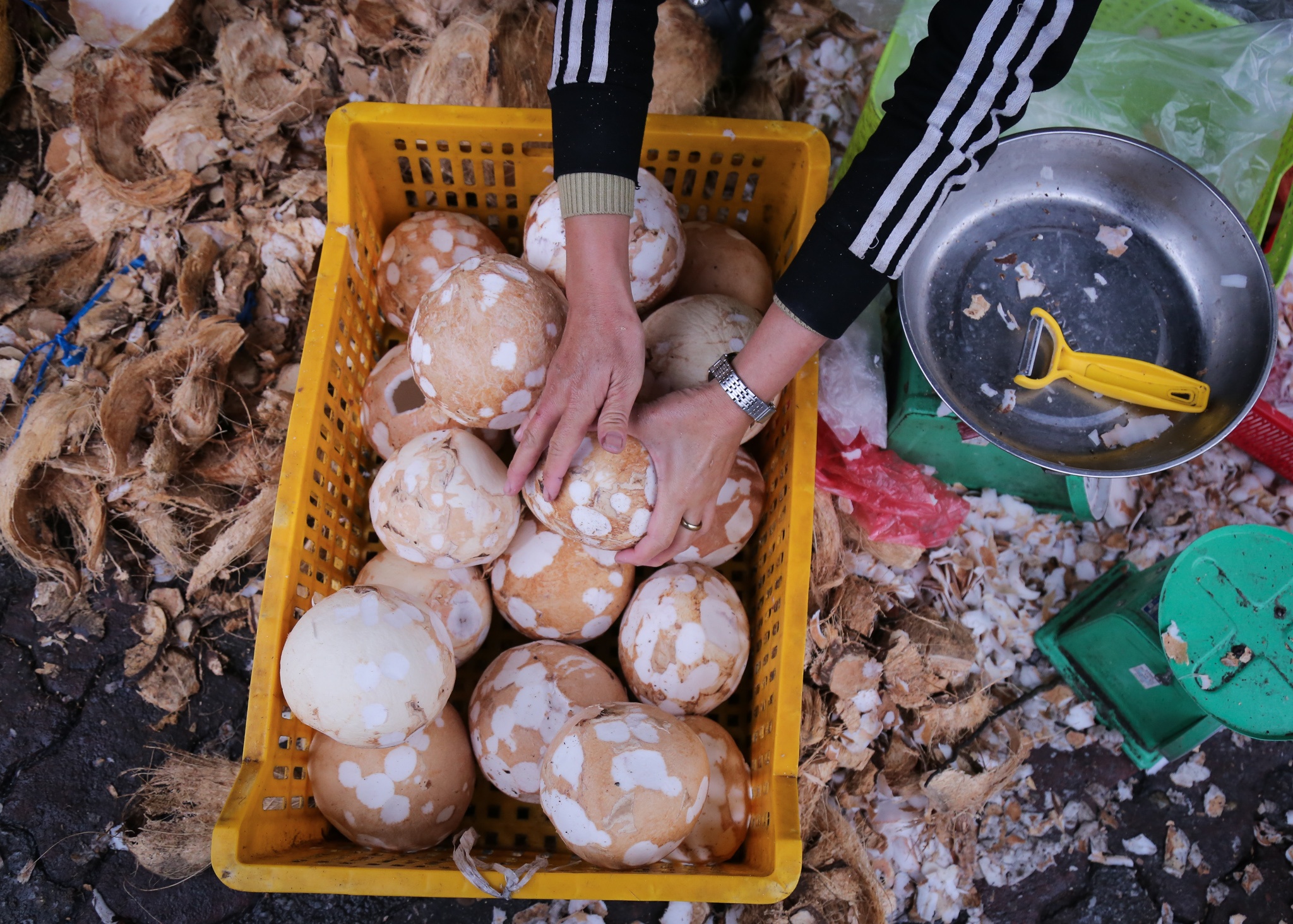 dua lam mut Tet dat hang anh 8