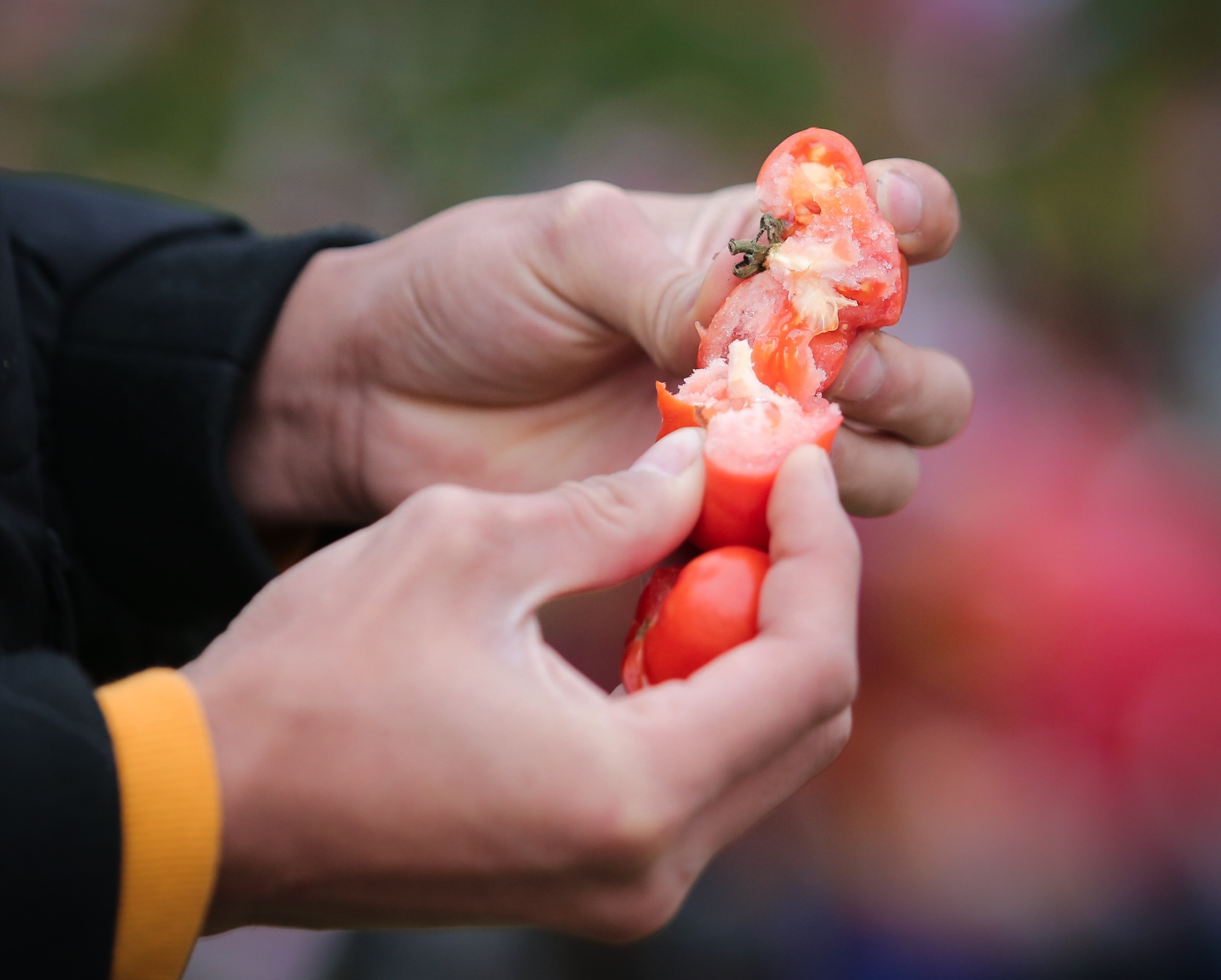 nem ca chua cau may anh 3