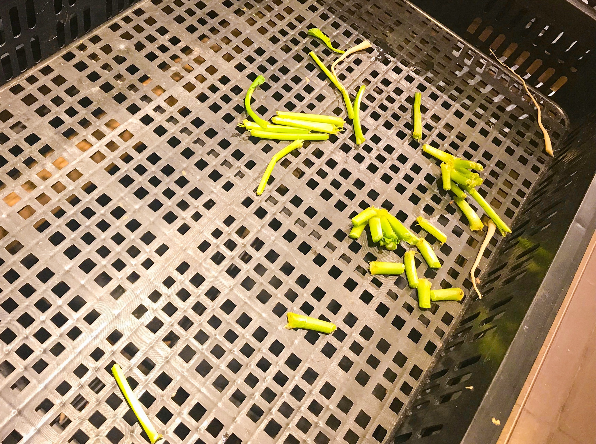 chay hang rau cu,  khau trang anh 6