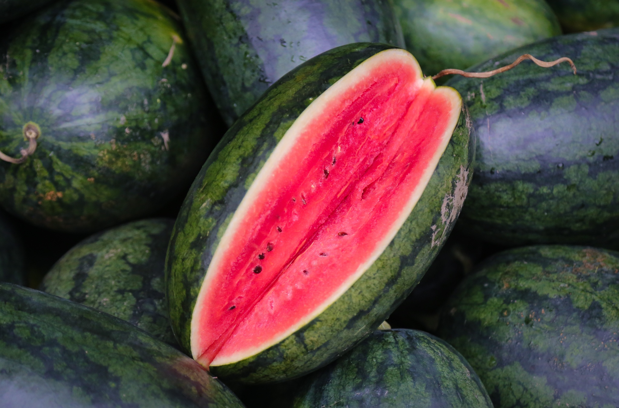 giai cuu nong san giua dai dich anh 3