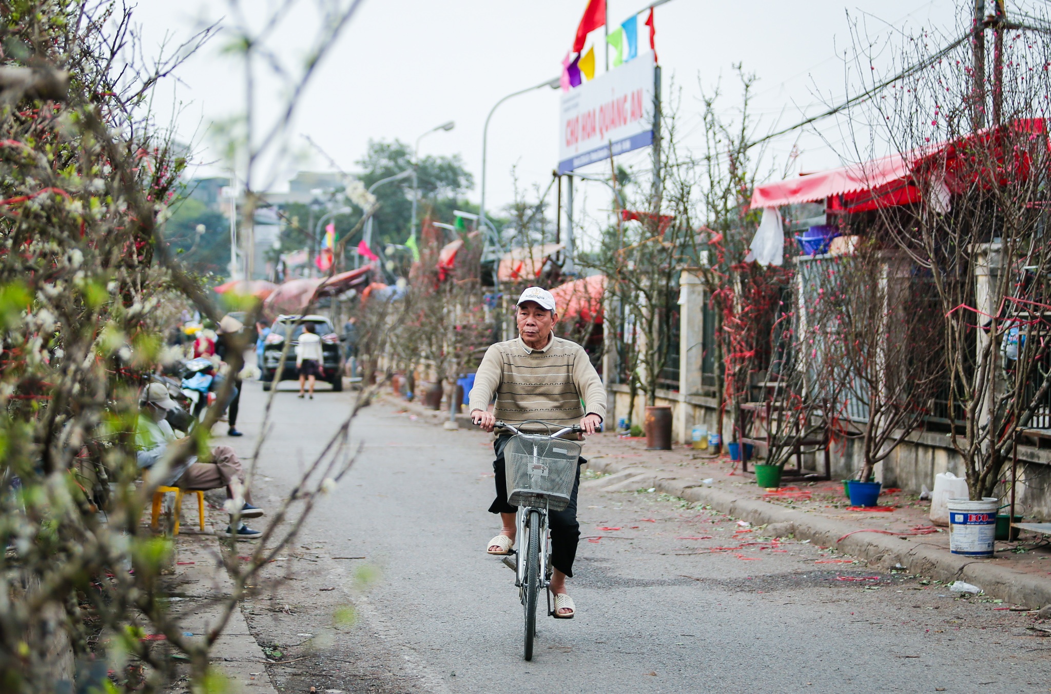 hoa le rung tien trieu tai Ha Noi anh 1