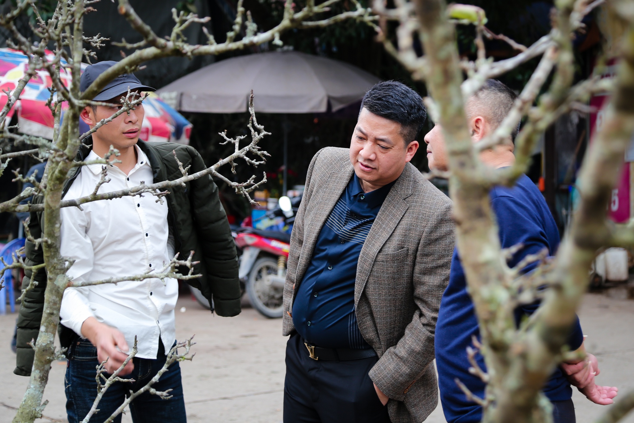 hoa le rung tien trieu tai Ha Noi anh 2