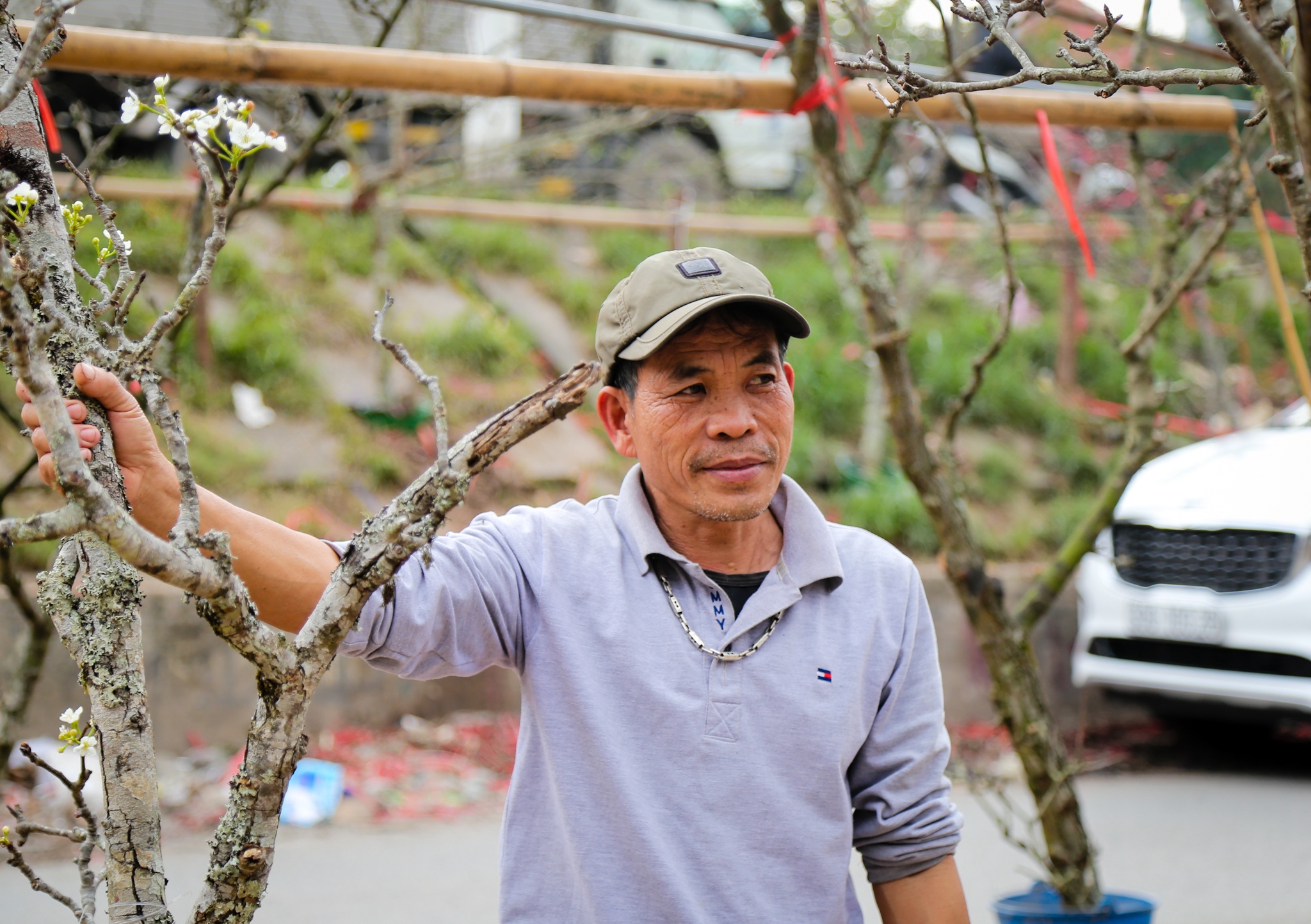 hoa le rung tien trieu tai Ha Noi anh 4