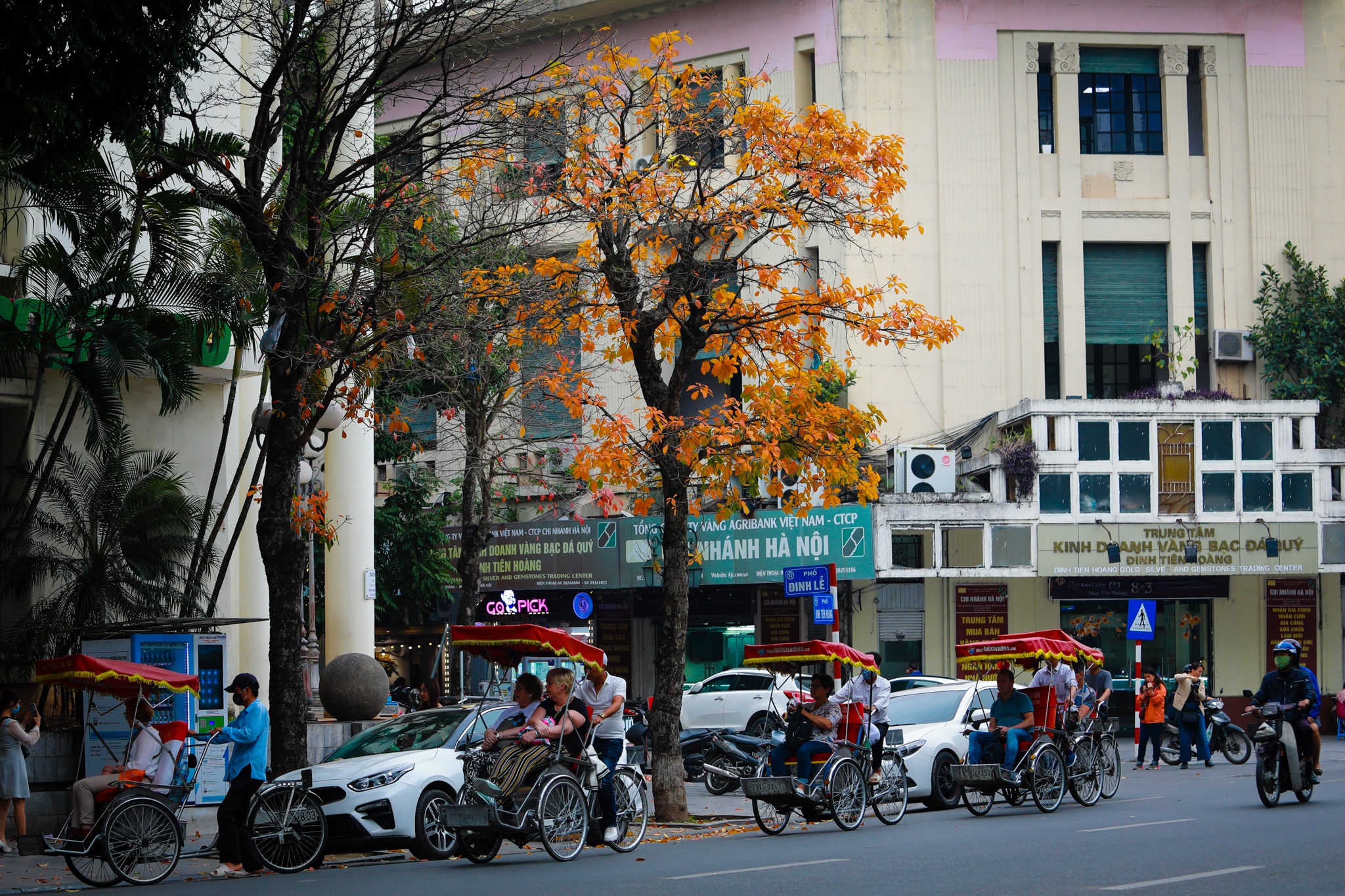 Ha Noi mua cay thay la thu hut gioi tre anh 1