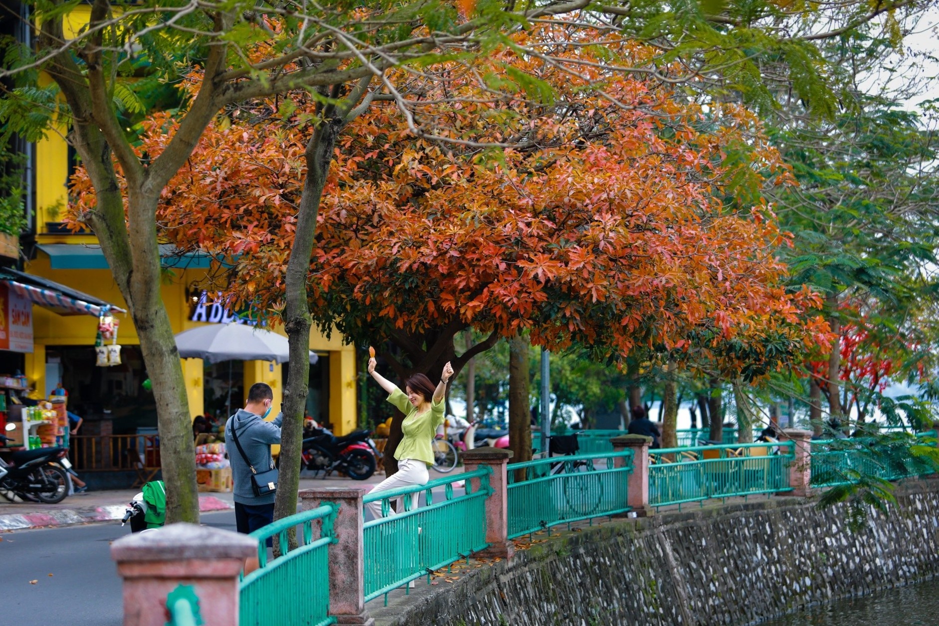 Ha Noi mua cay thay la thu hut gioi tre anh 2