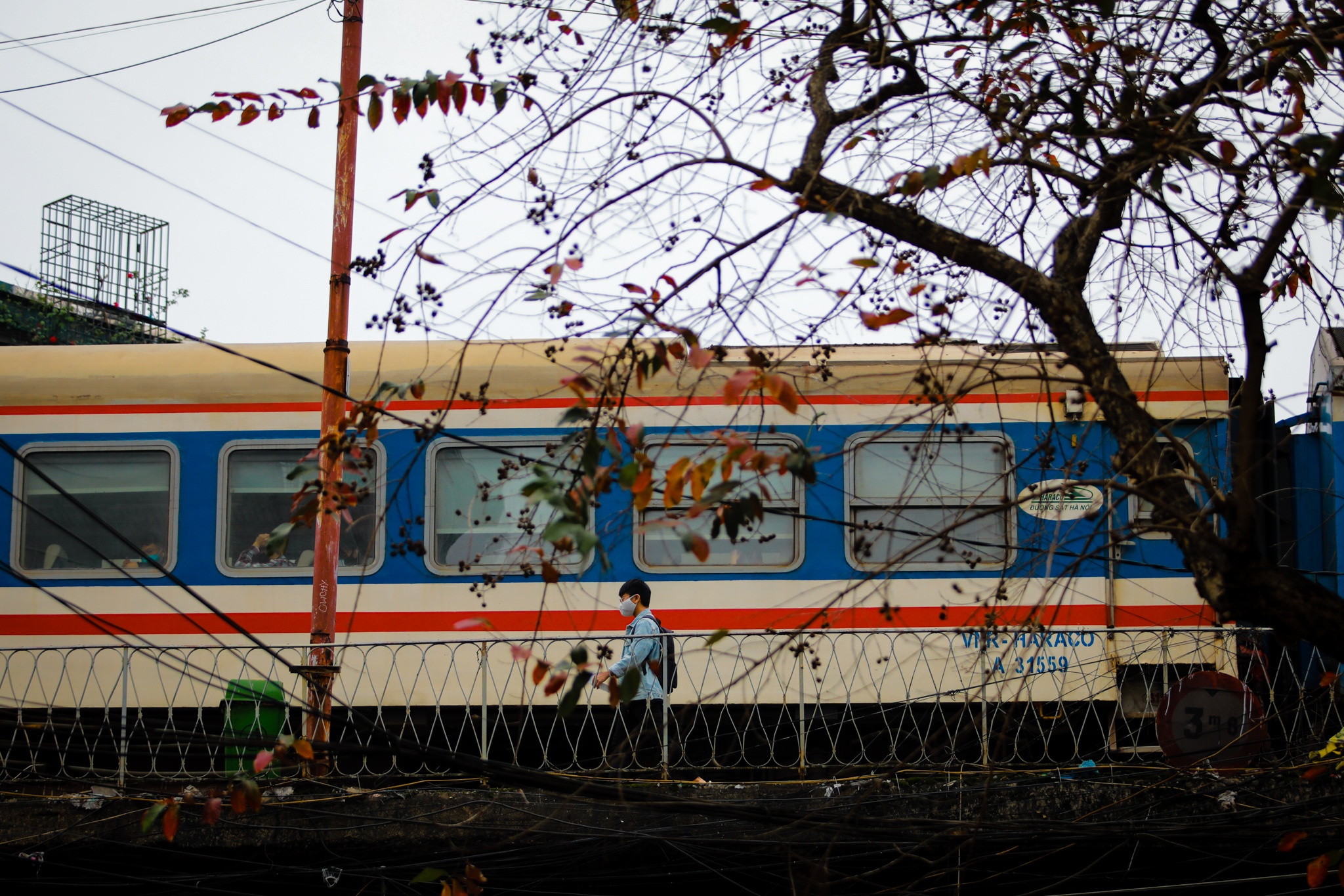 Ha Noi mua cay thay la thu hut gioi tre anh 4