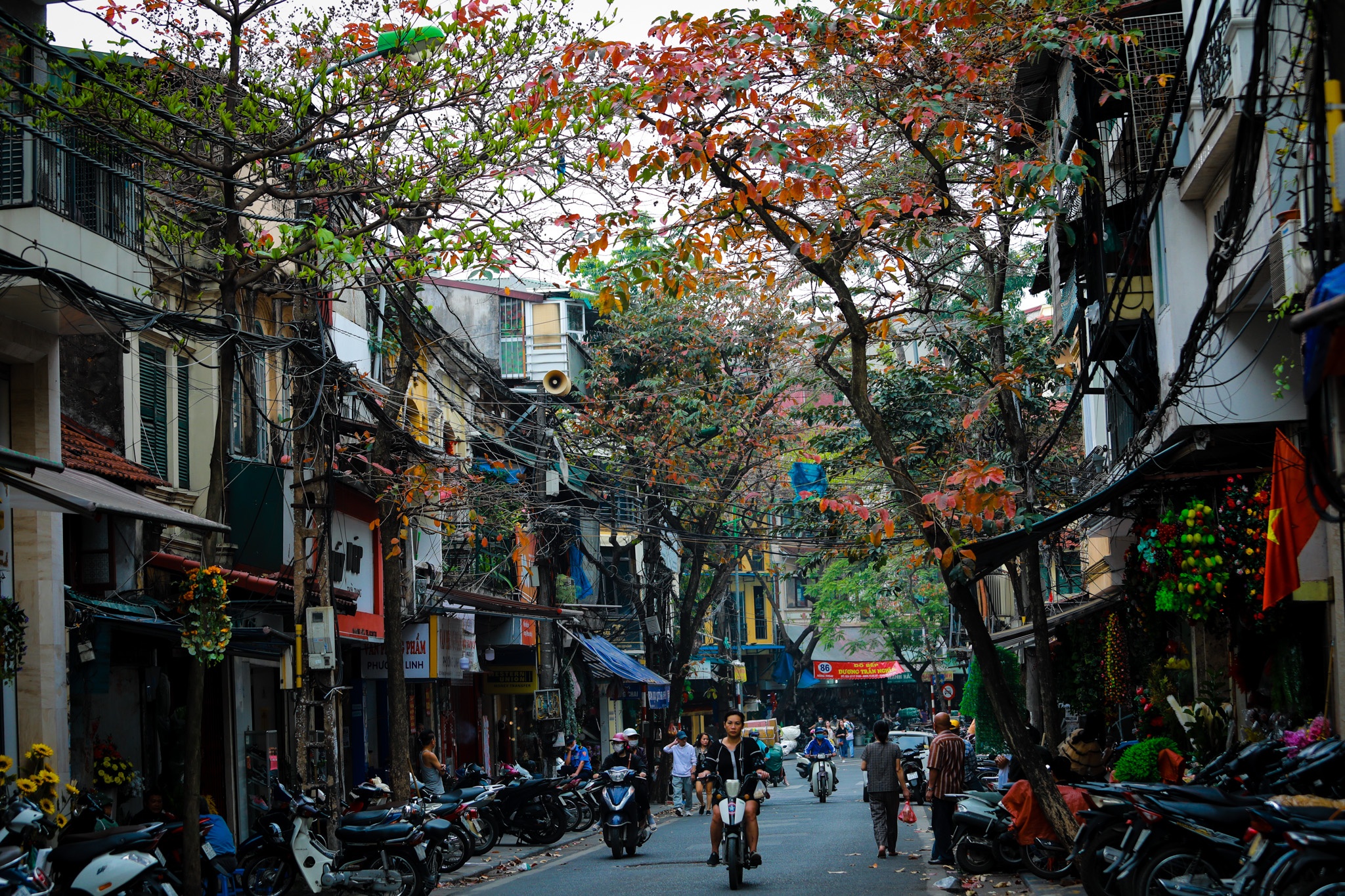 Ha Noi mua cay thay la thu hut gioi tre anh 10