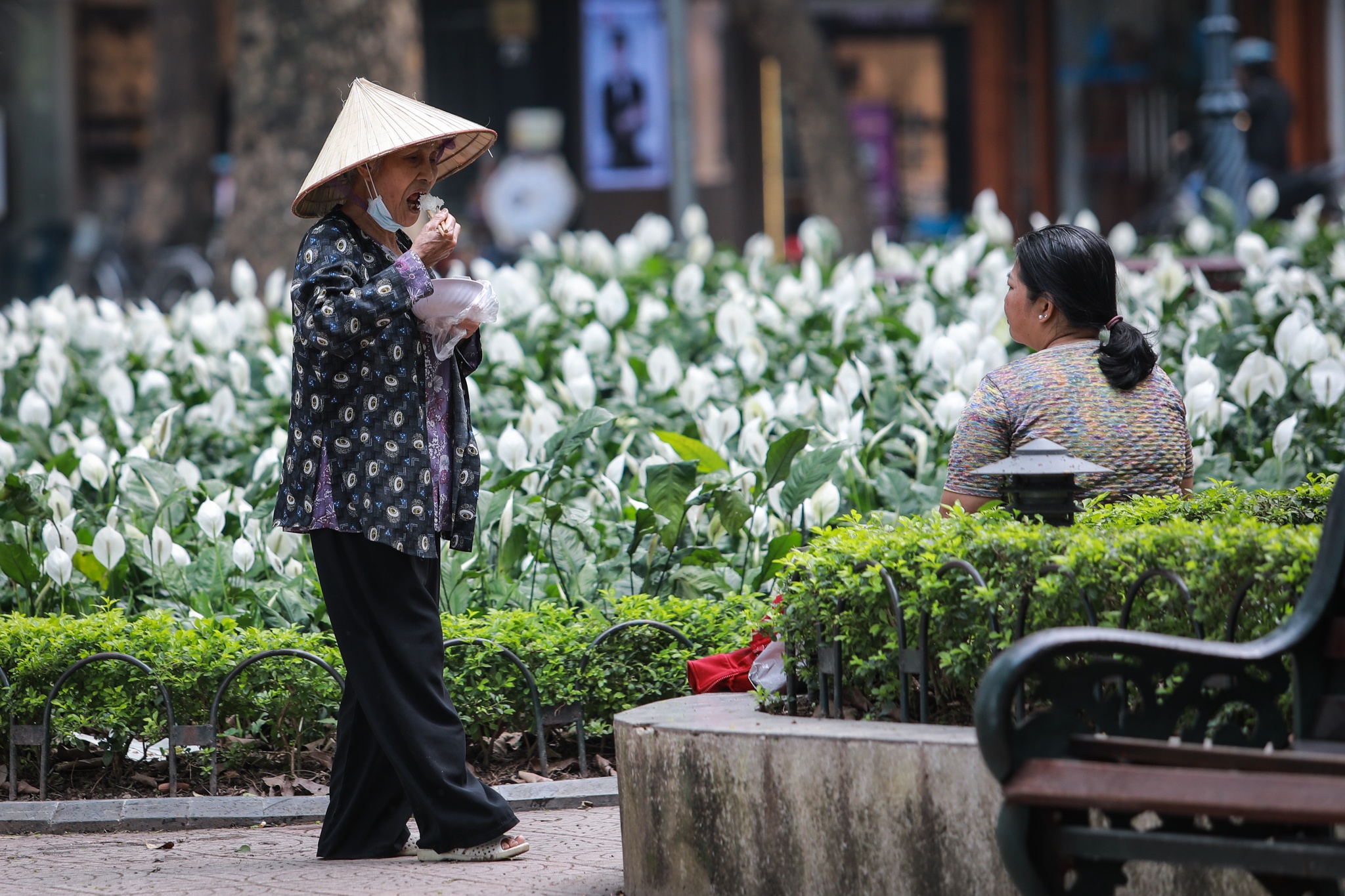 Nguoi gia lac quan truoc dich benh Covid-19 anh 9