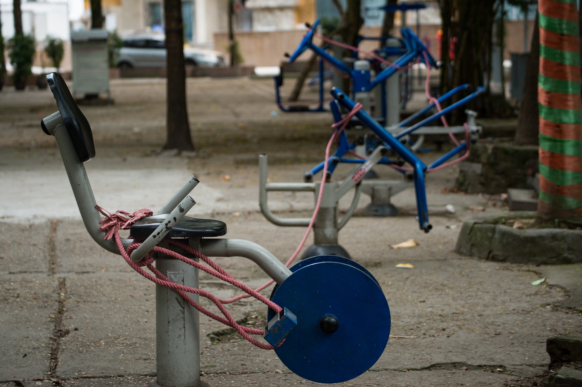 Tu tap trong dich Covid-19 anh 10