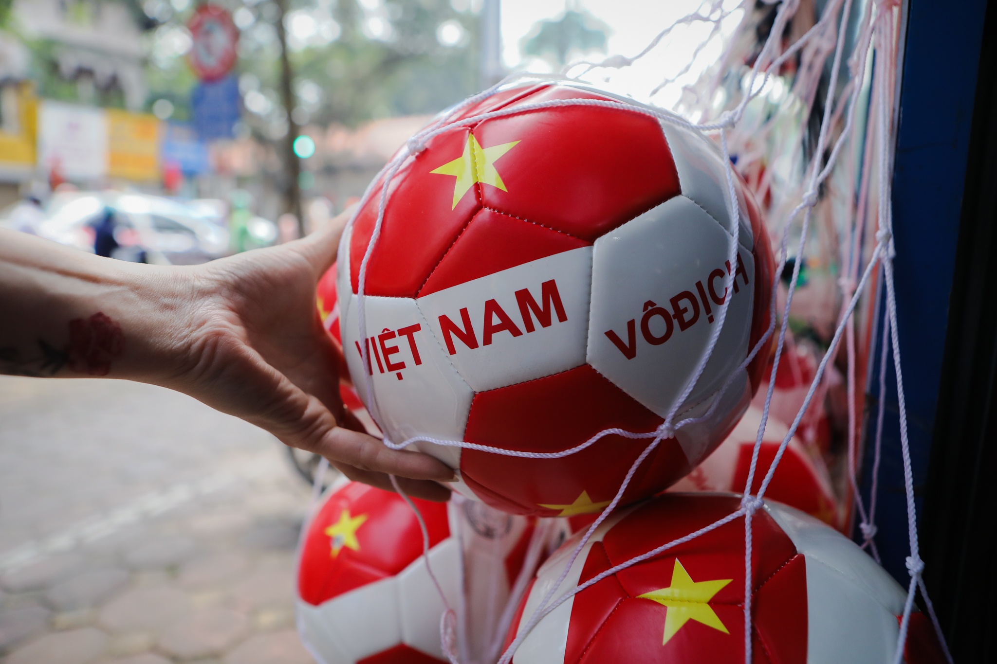 Ha Noi ruc ro co hoa anh 4