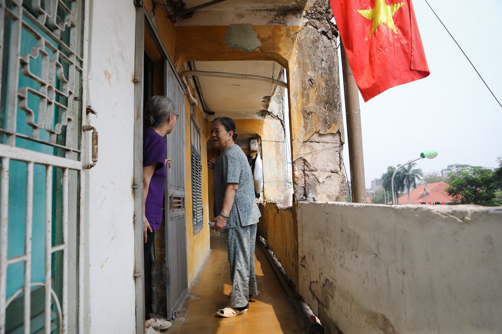 Ha Noi ruc ro co hoa anh 9