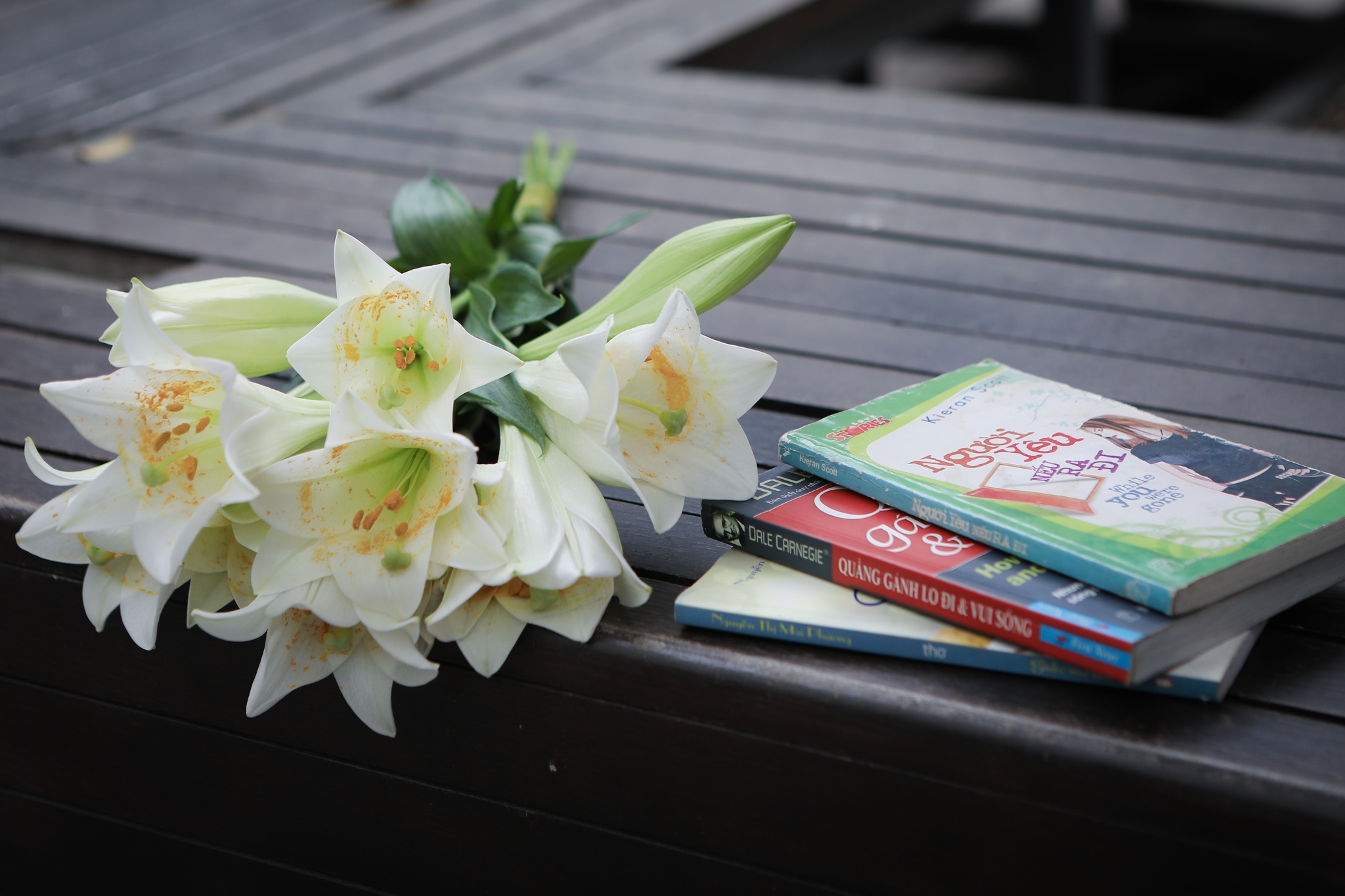 Pho sach Ha Noi anh 11