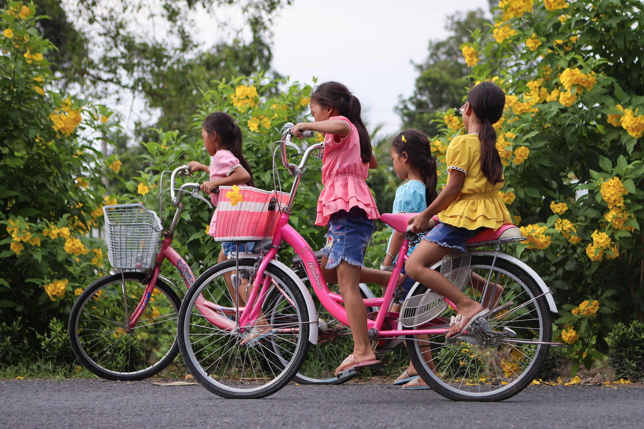 bon tre sinh 4 tuu truong anh 5