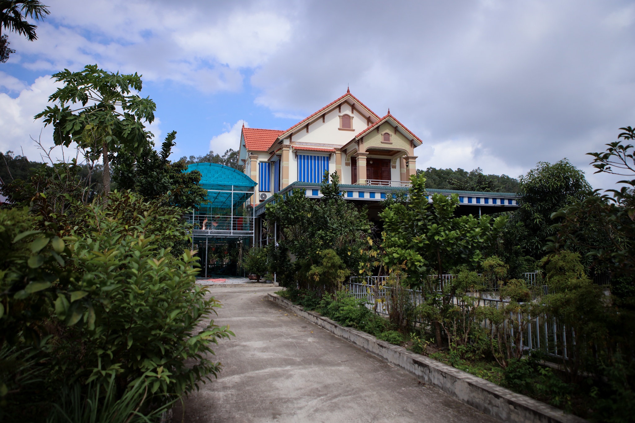nha cua do thi ha o thanh hoa anh 1